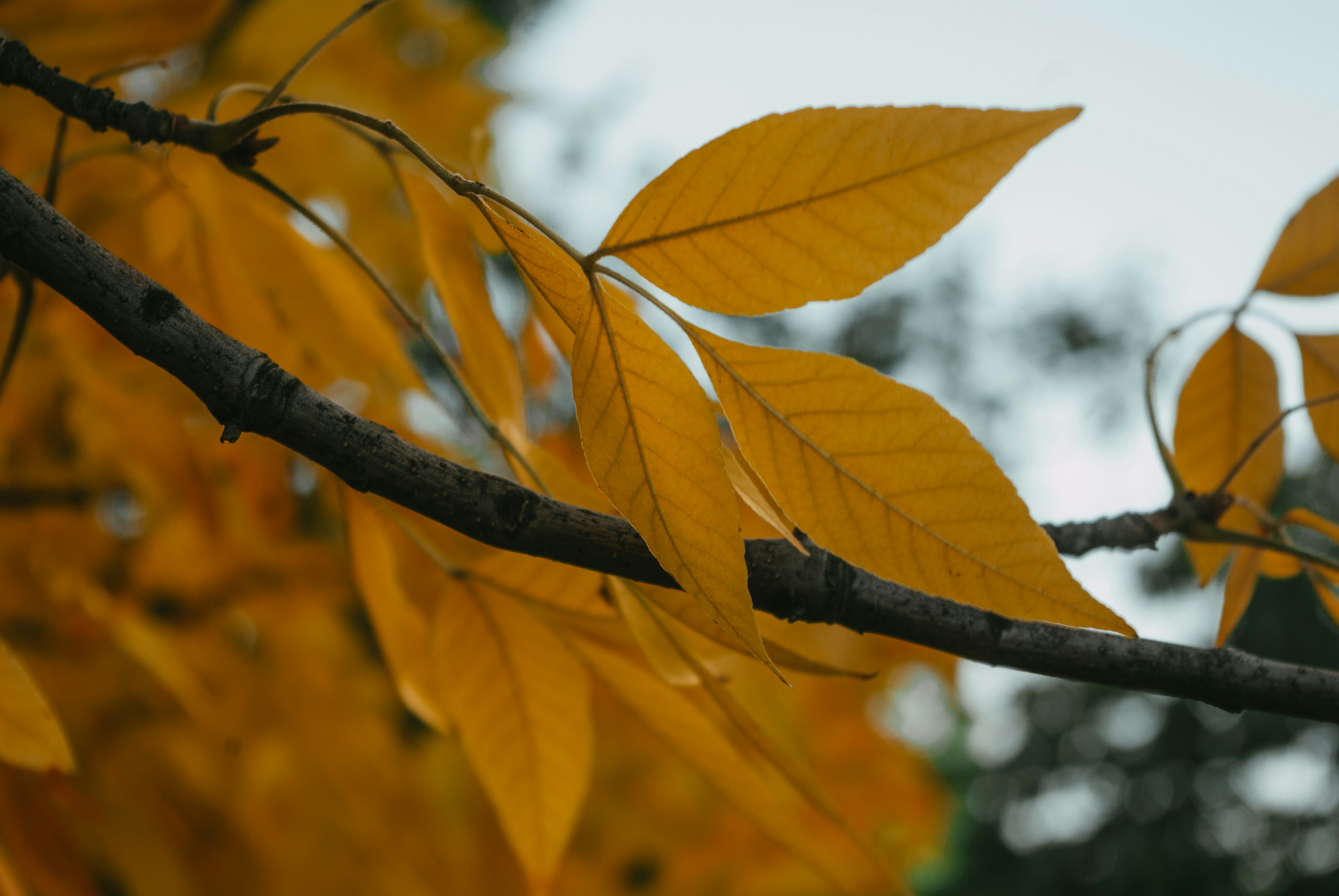 Photo by moonmoons_days