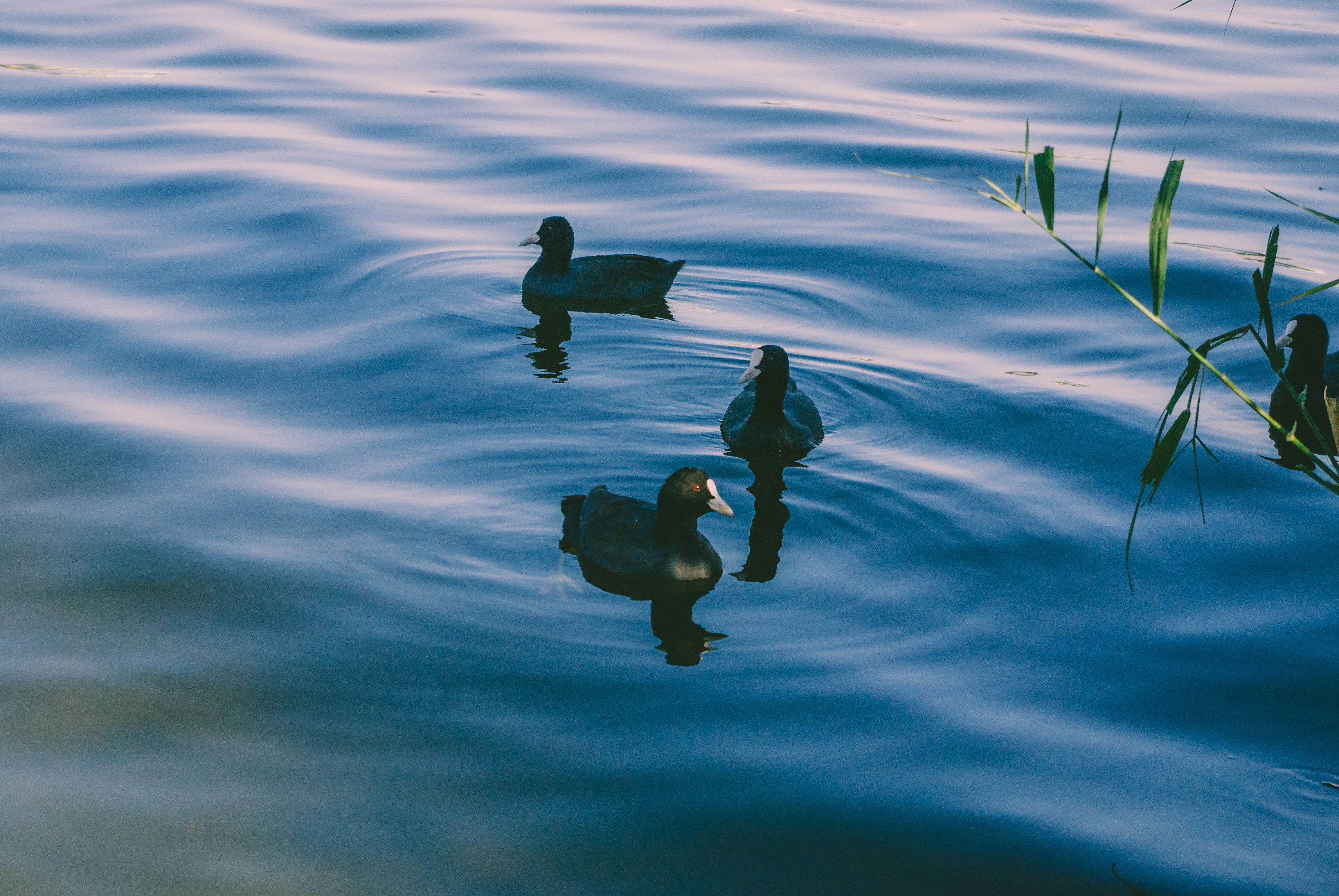 Photo by moonmoons_days