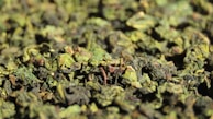A close-up view of a pile of dried, rolled green tea leaves with a mixture of brown and green hues. The texture appears rough and organic, with various sizes of leaves clustered together.