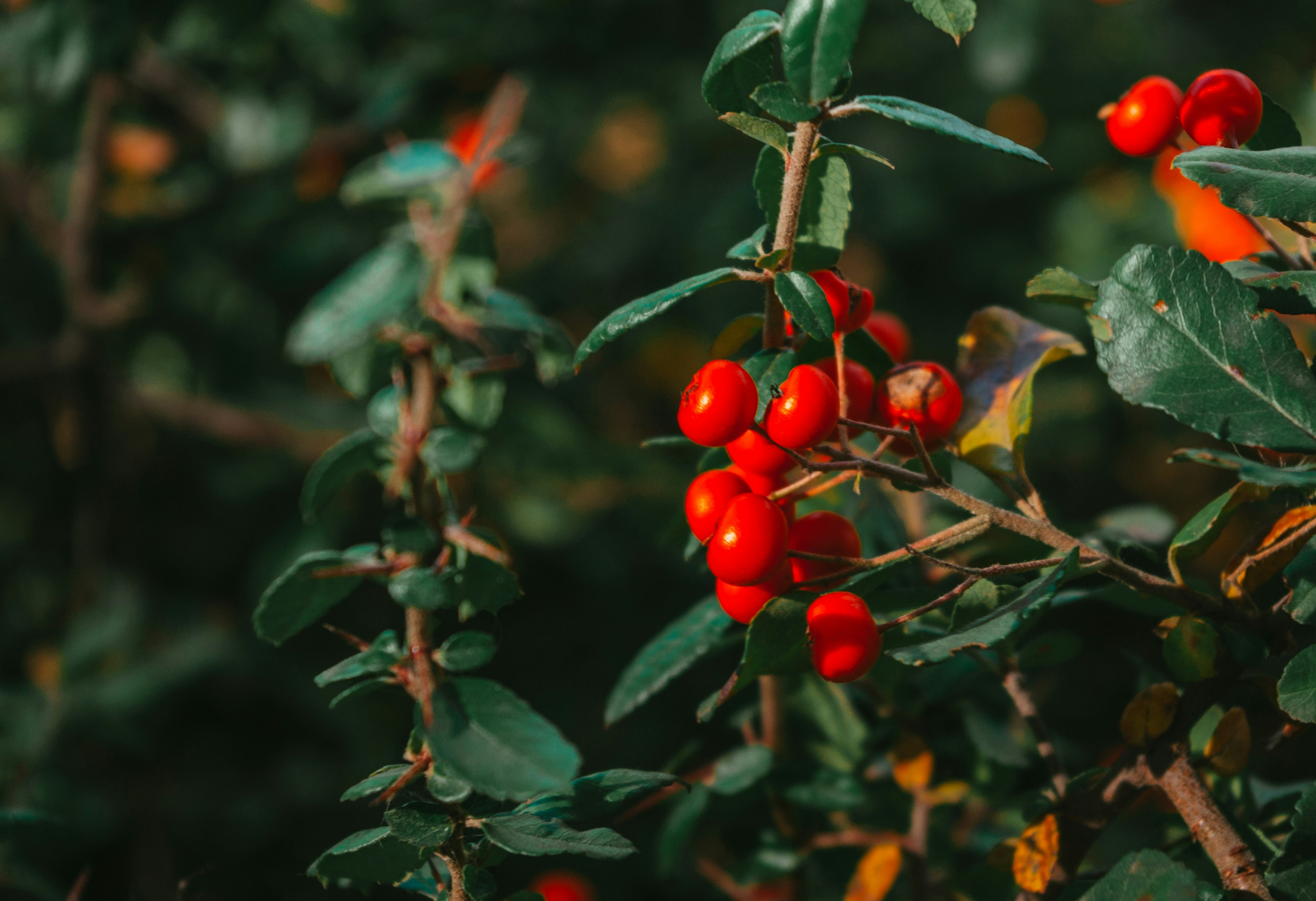 Photo by moonmoons_days