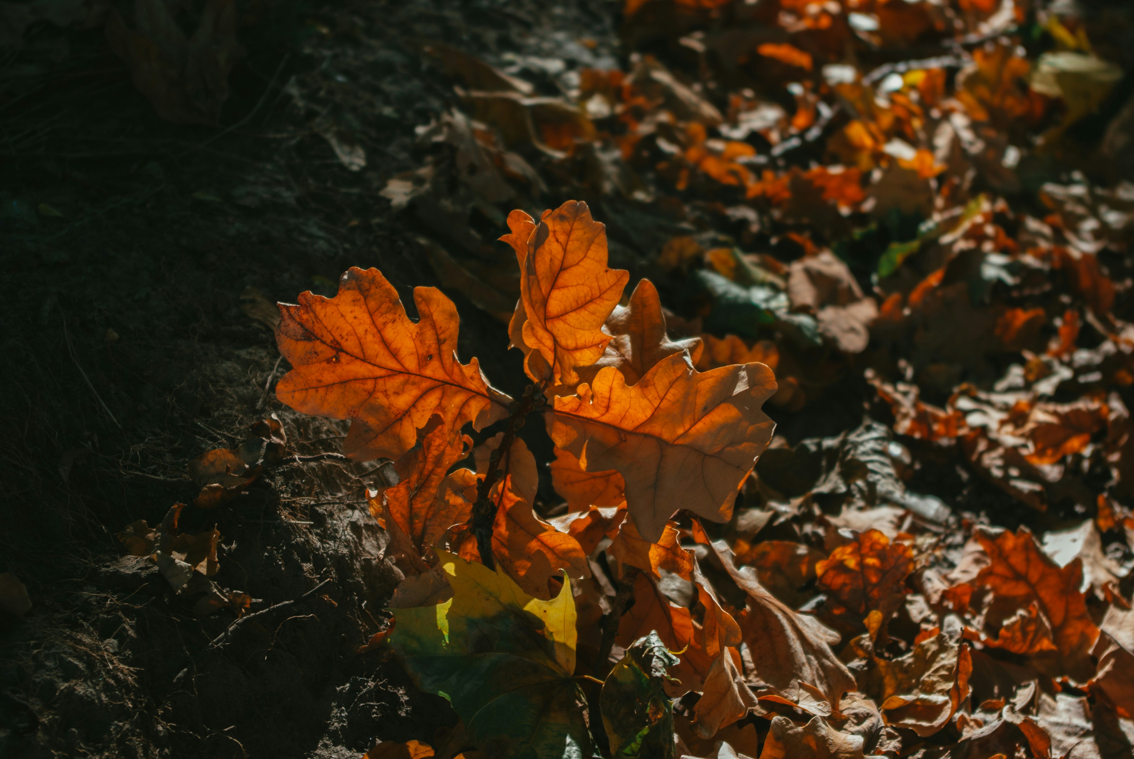 Photo by moonmoons_days