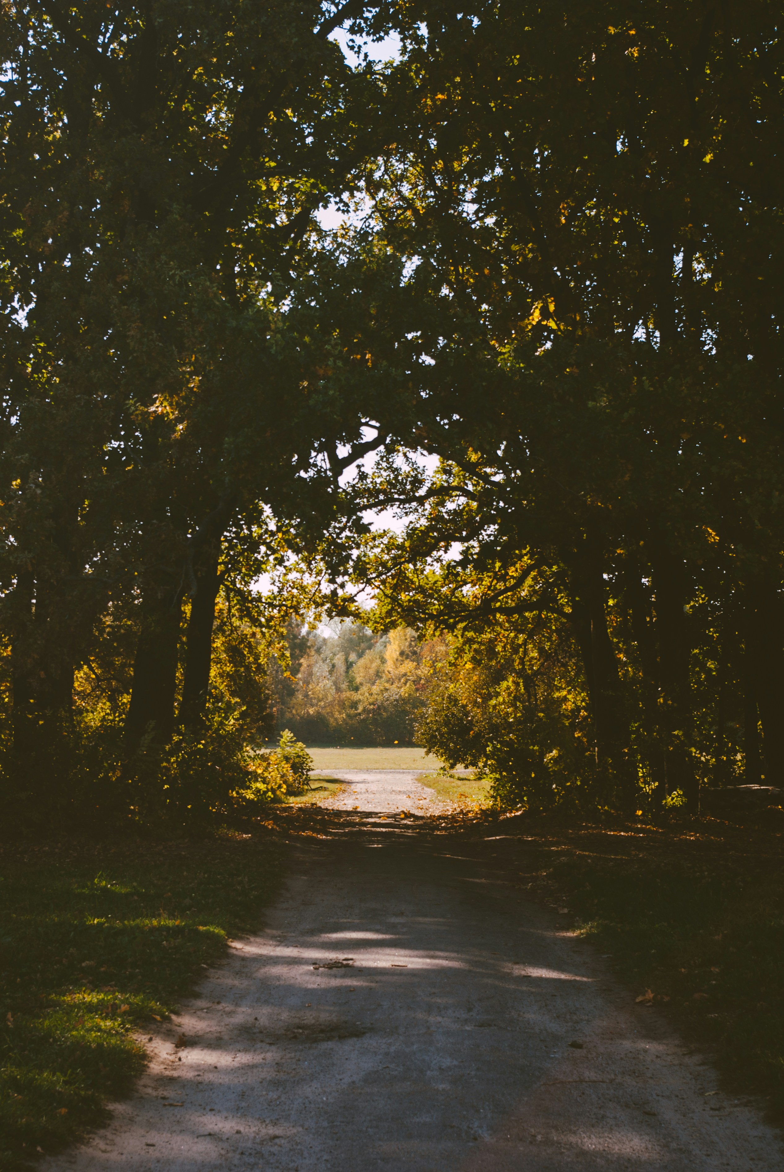 Photo by moonmoons_days