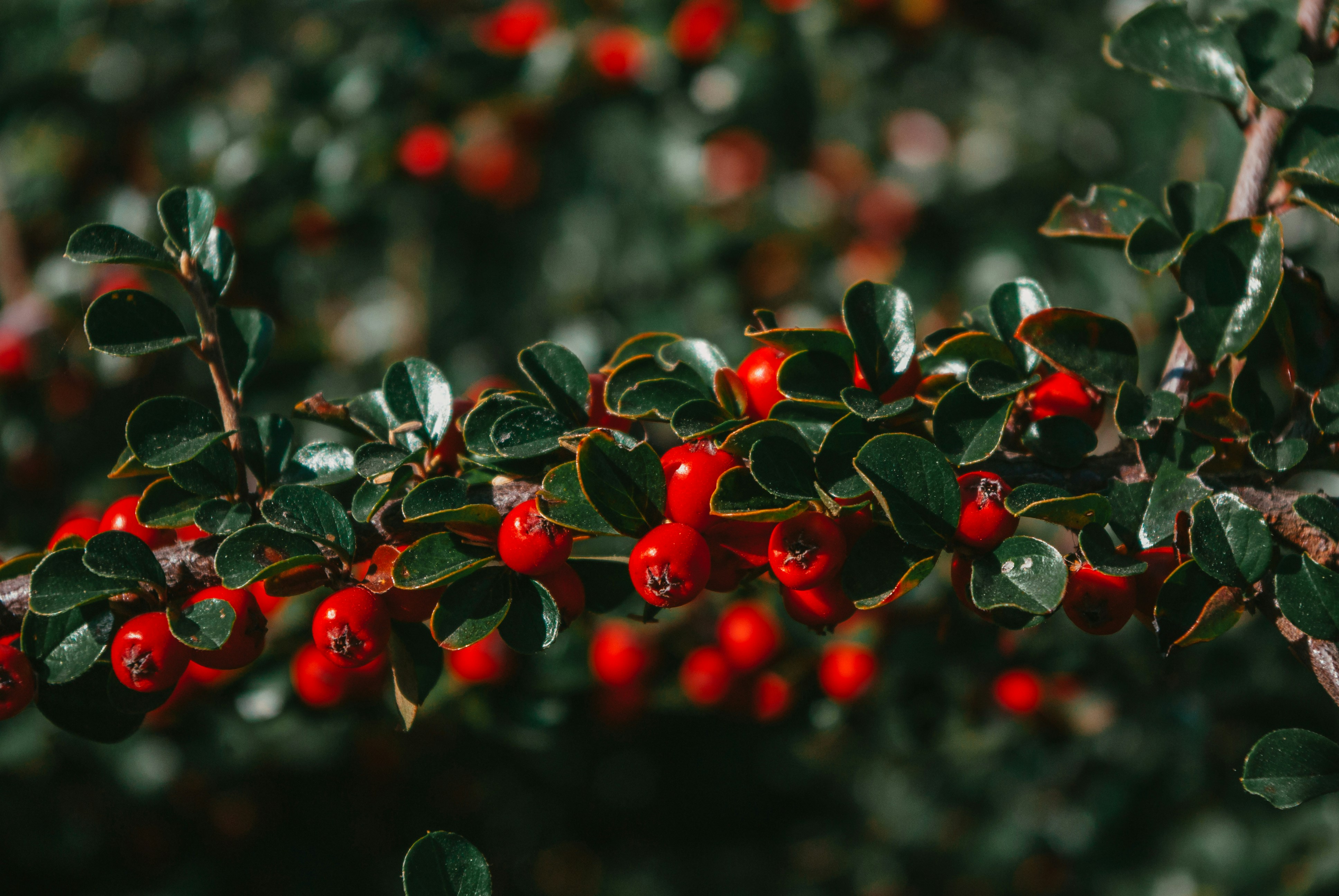 Photo by moonmoons_days