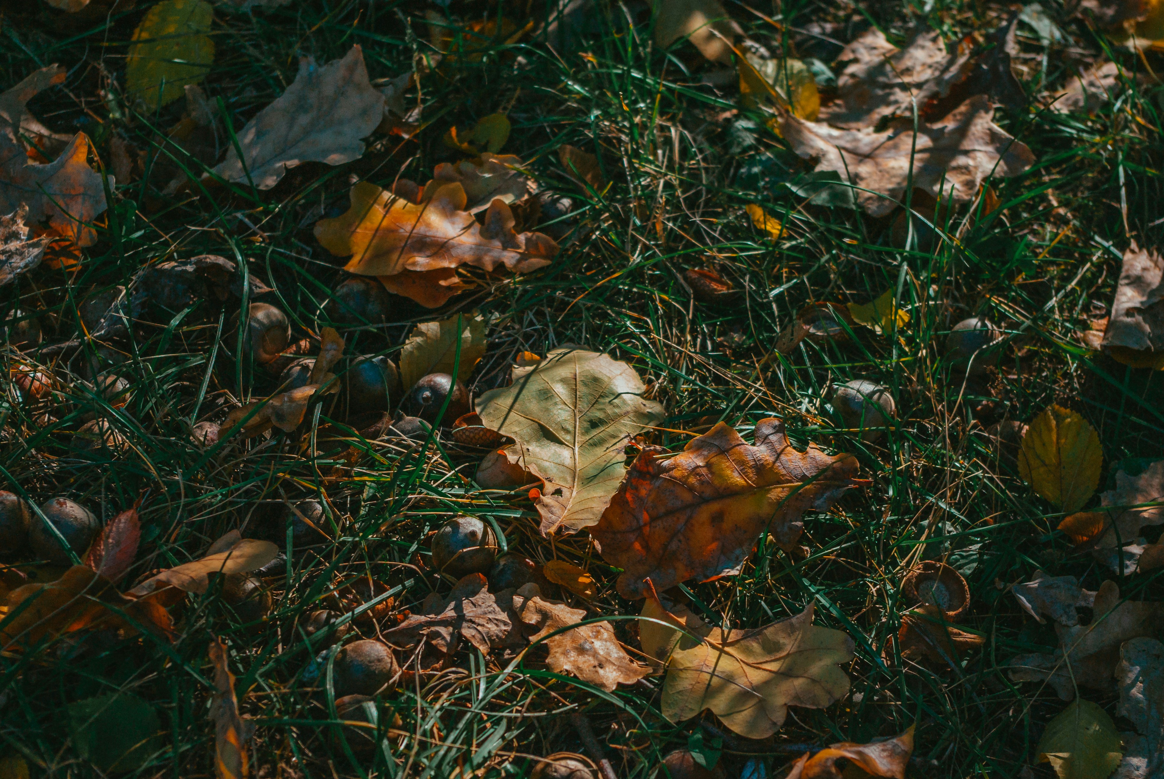 Photo by moonmoons_days