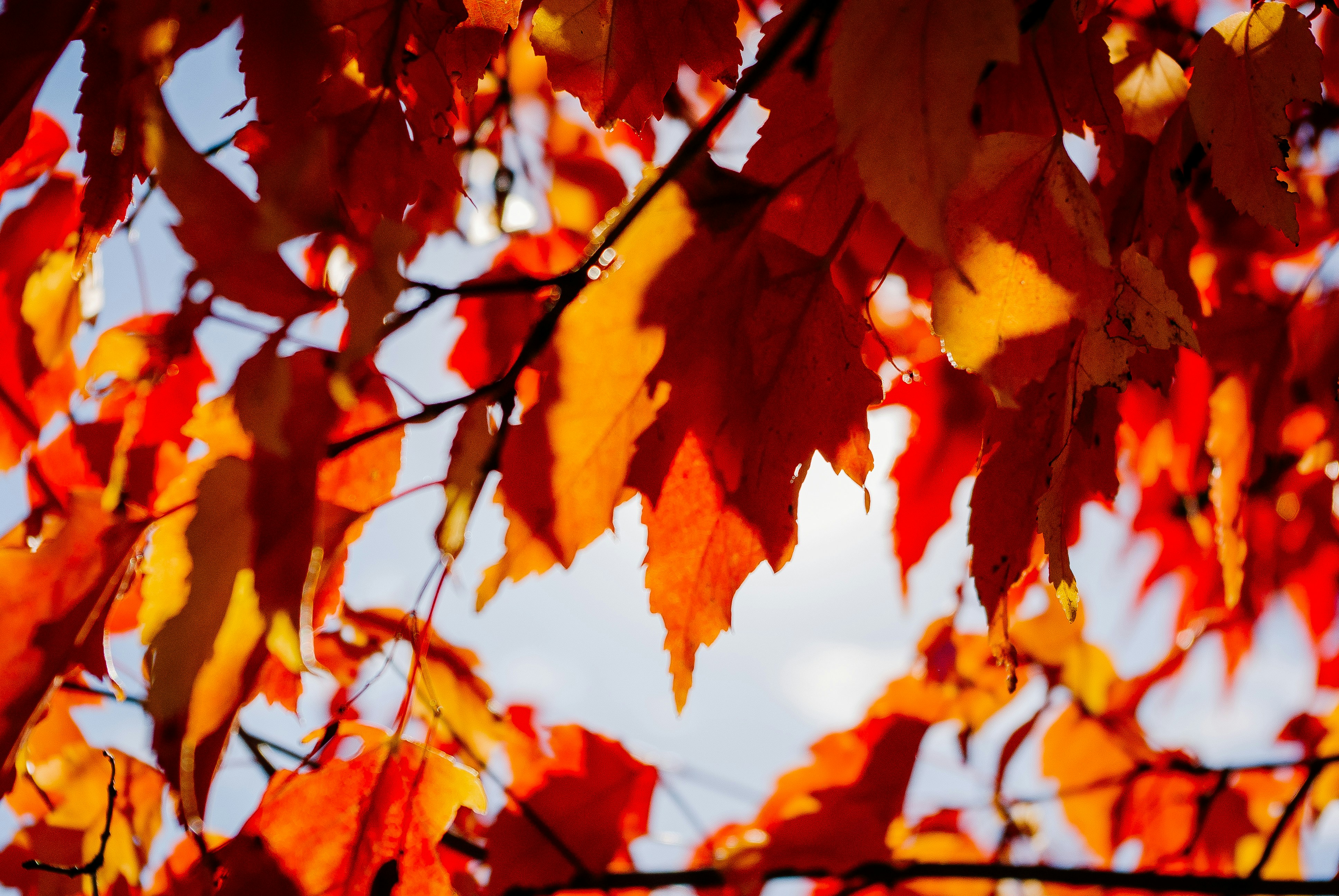 Photo by moonmoons_days