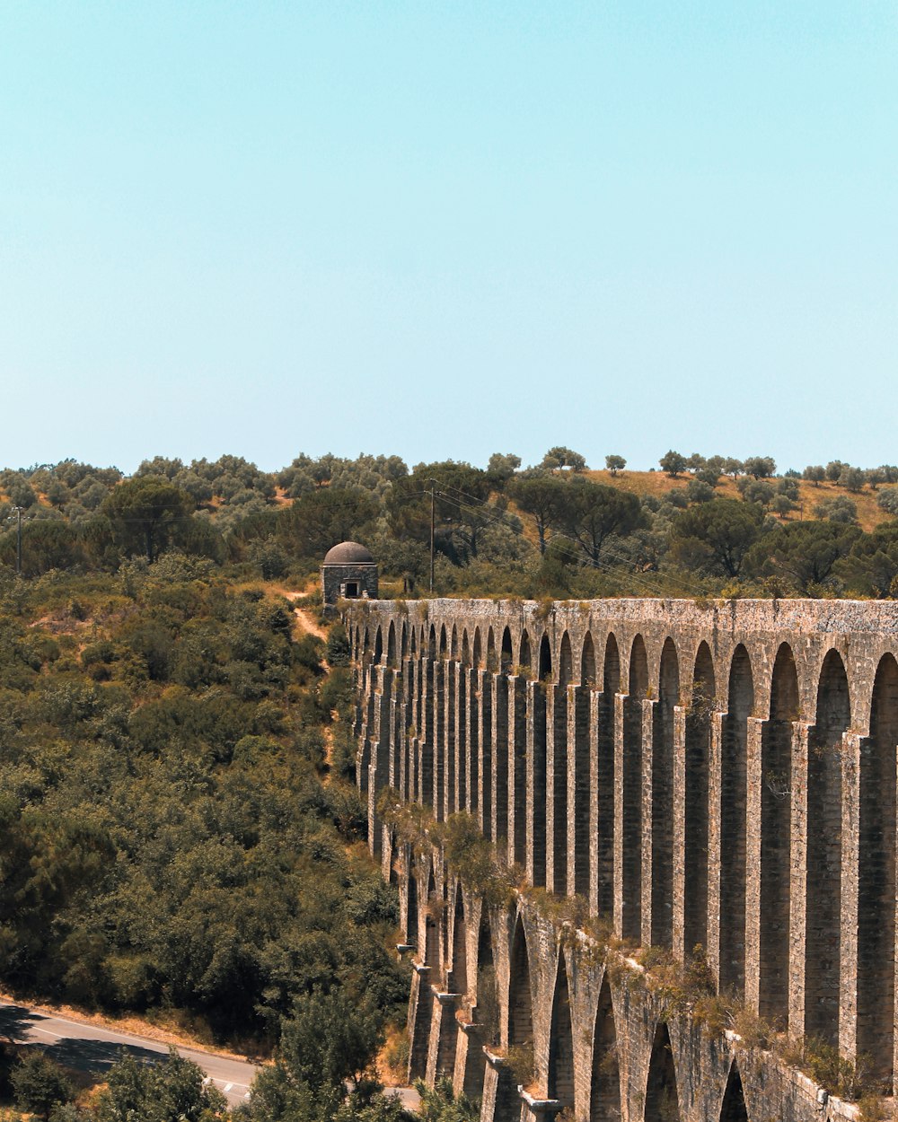 a train traveling over a bridge in the middle of a forest