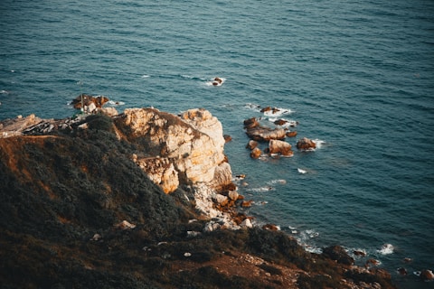a group of birds sitting on top of a cliff next to the ocean