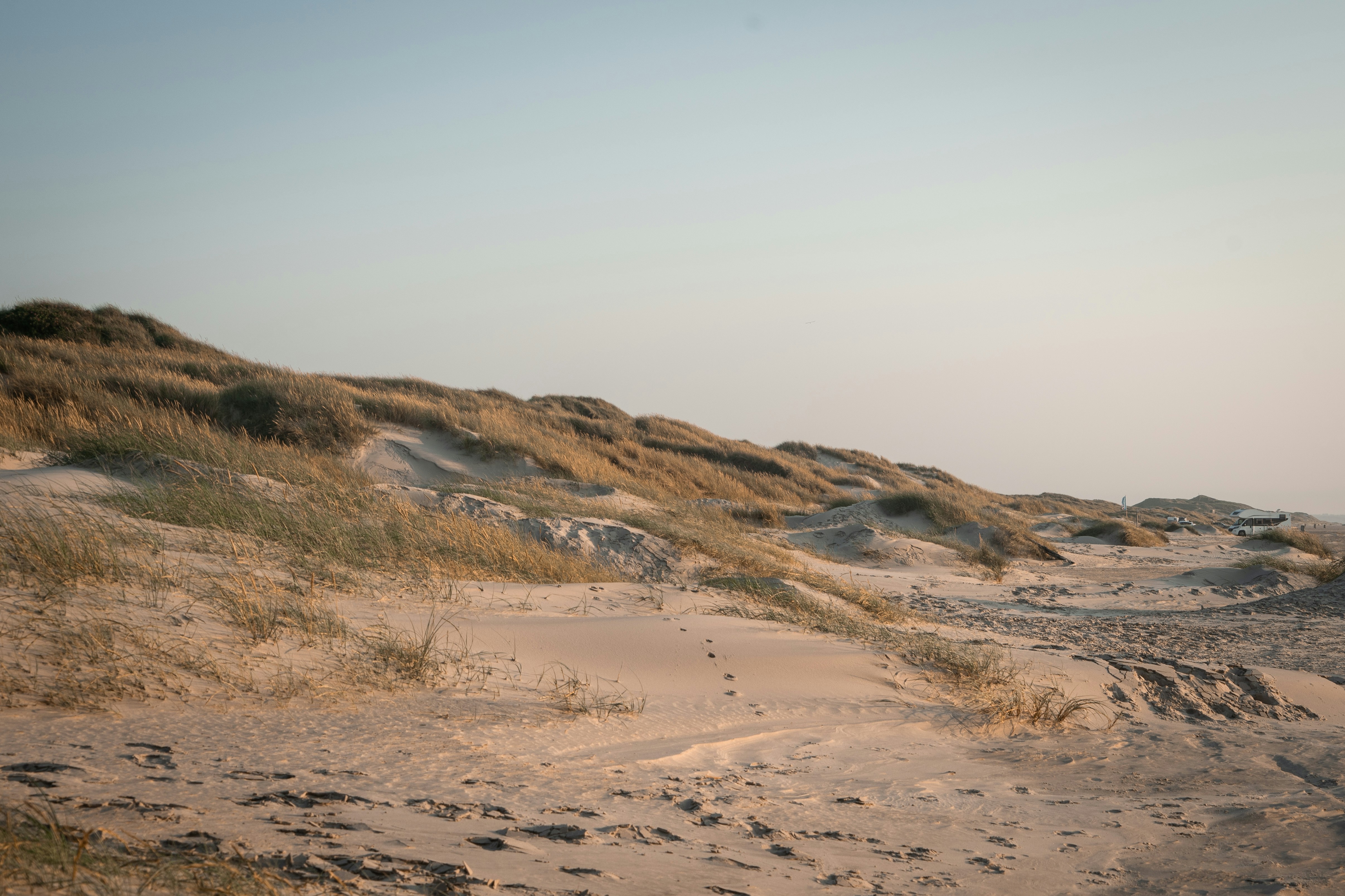 Photo by melimascella_