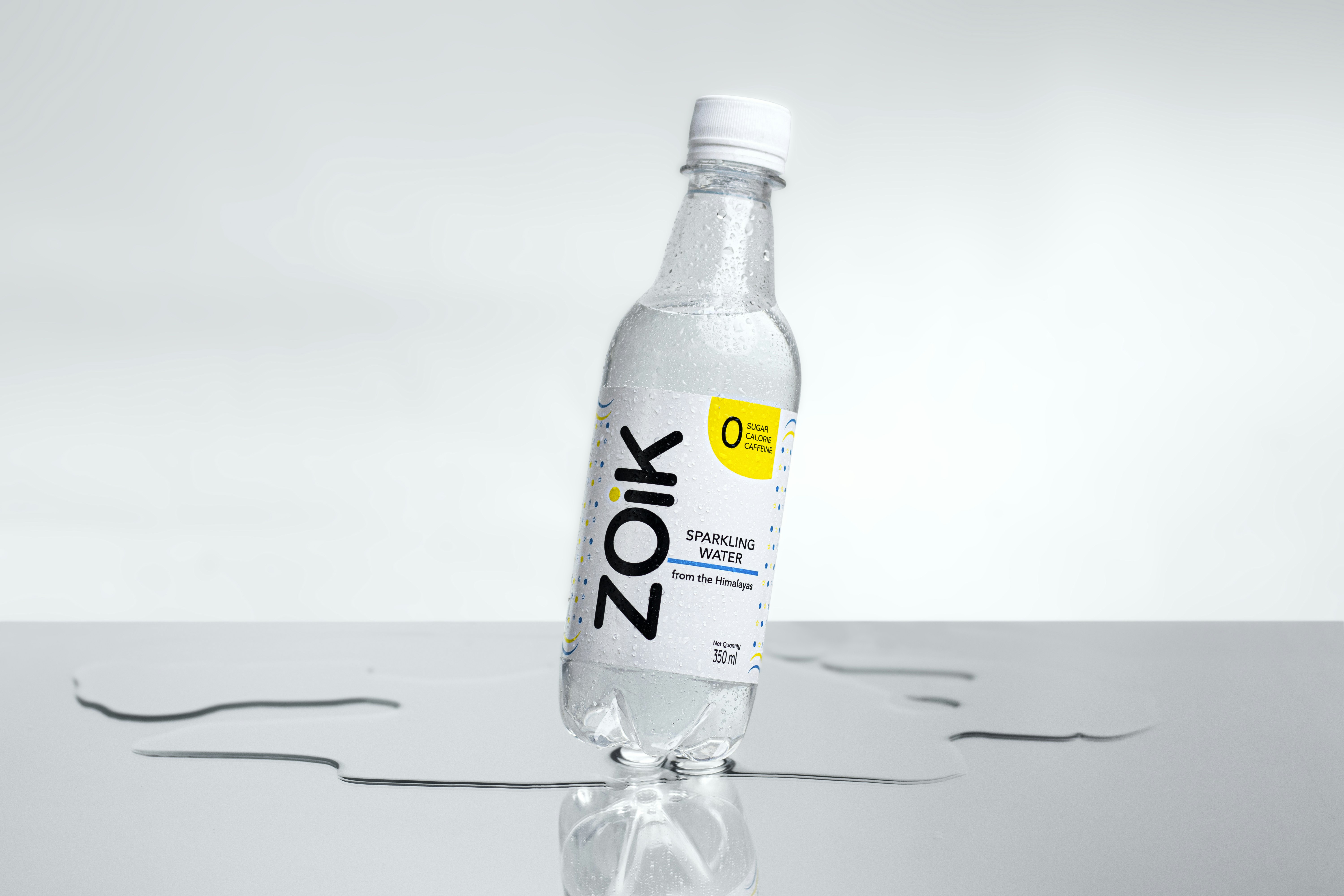 Oxalate-Degrading Bacteria: Do They Really Work?