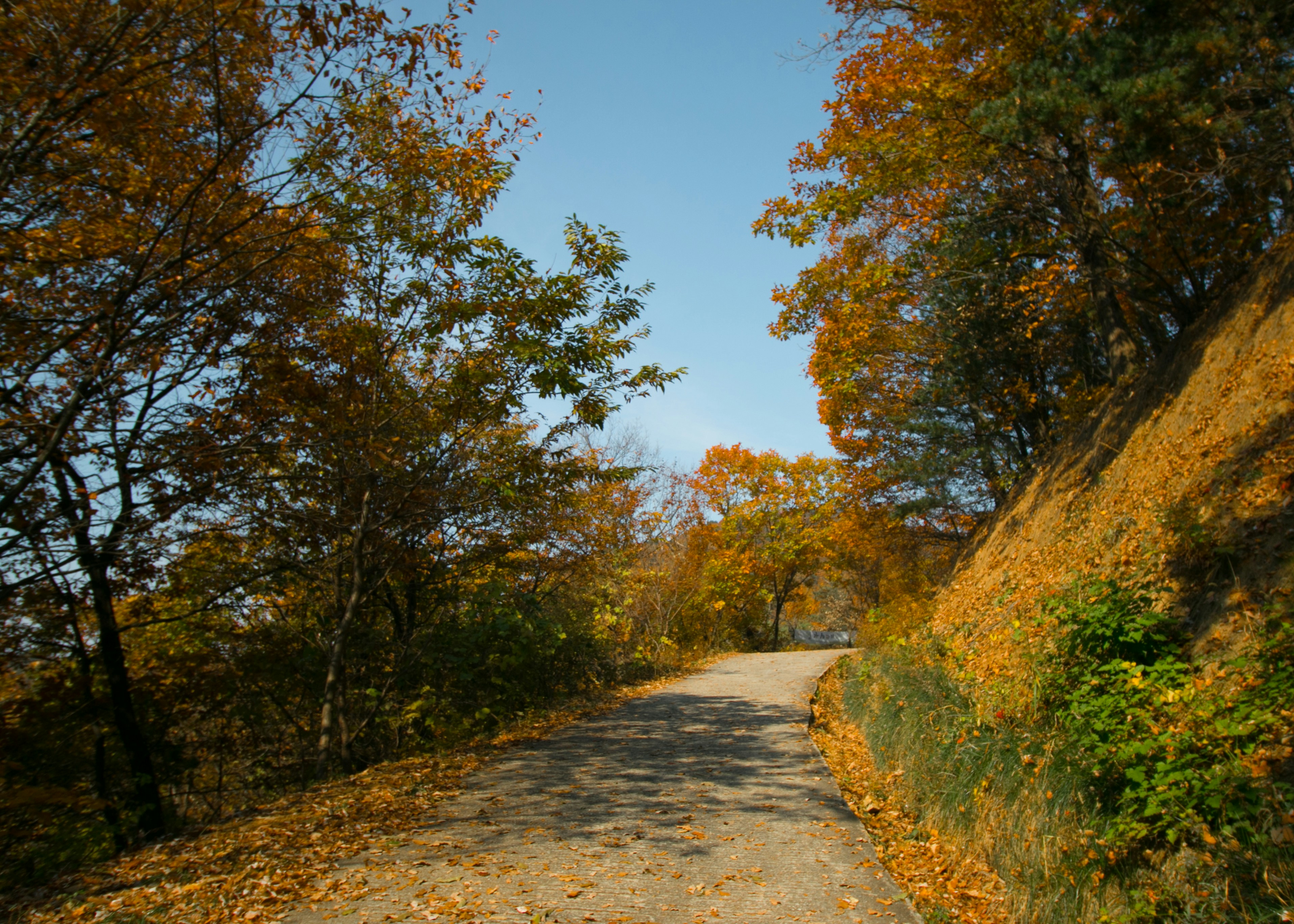방장산 등산코스