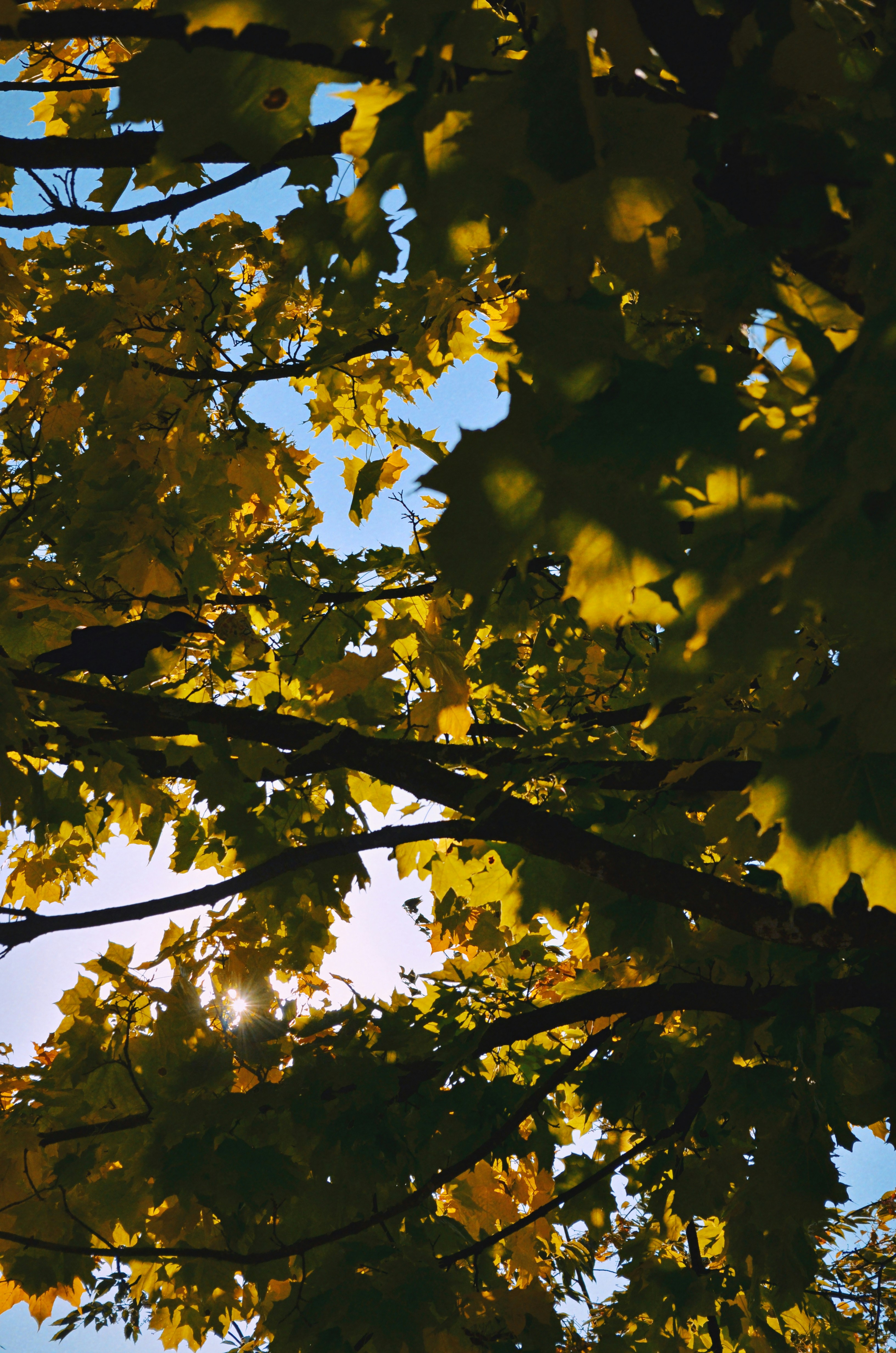 Photo by beyourself_and_dontgiveup