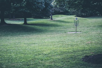 A scenic park with lush green grass, scattered trees providing shade, and a disc golf basket sitting on the right. The undulating landscape adds depth to the scene.