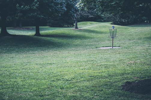 A scenic park with lush green grass, scattered trees providing shade, and a disc golf basket sitting on the right. The undulating landscape adds depth to the scene.
