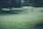 A scenic park with lush green grass, scattered trees providing shade, and a disc golf basket sitting on the right. The undulating landscape adds depth to the scene.