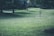 A scenic park with lush green grass, scattered trees providing shade, and a disc golf basket sitting on the right. The undulating landscape adds depth to the scene.