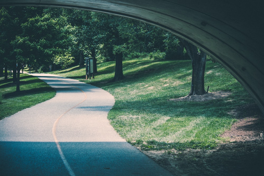a view of a road through a tunnel in a park
