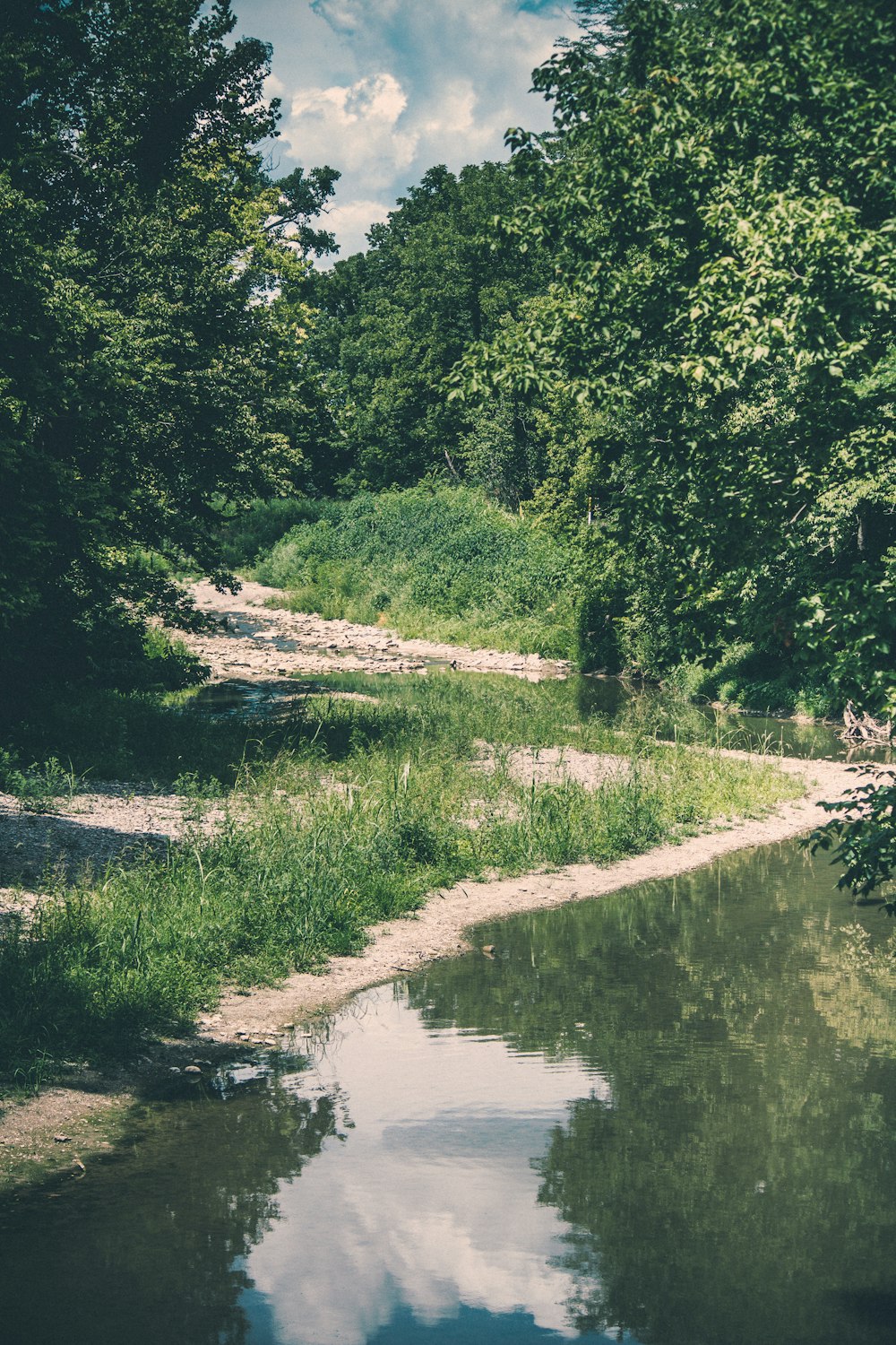 a body of water surrounded by trees and grass