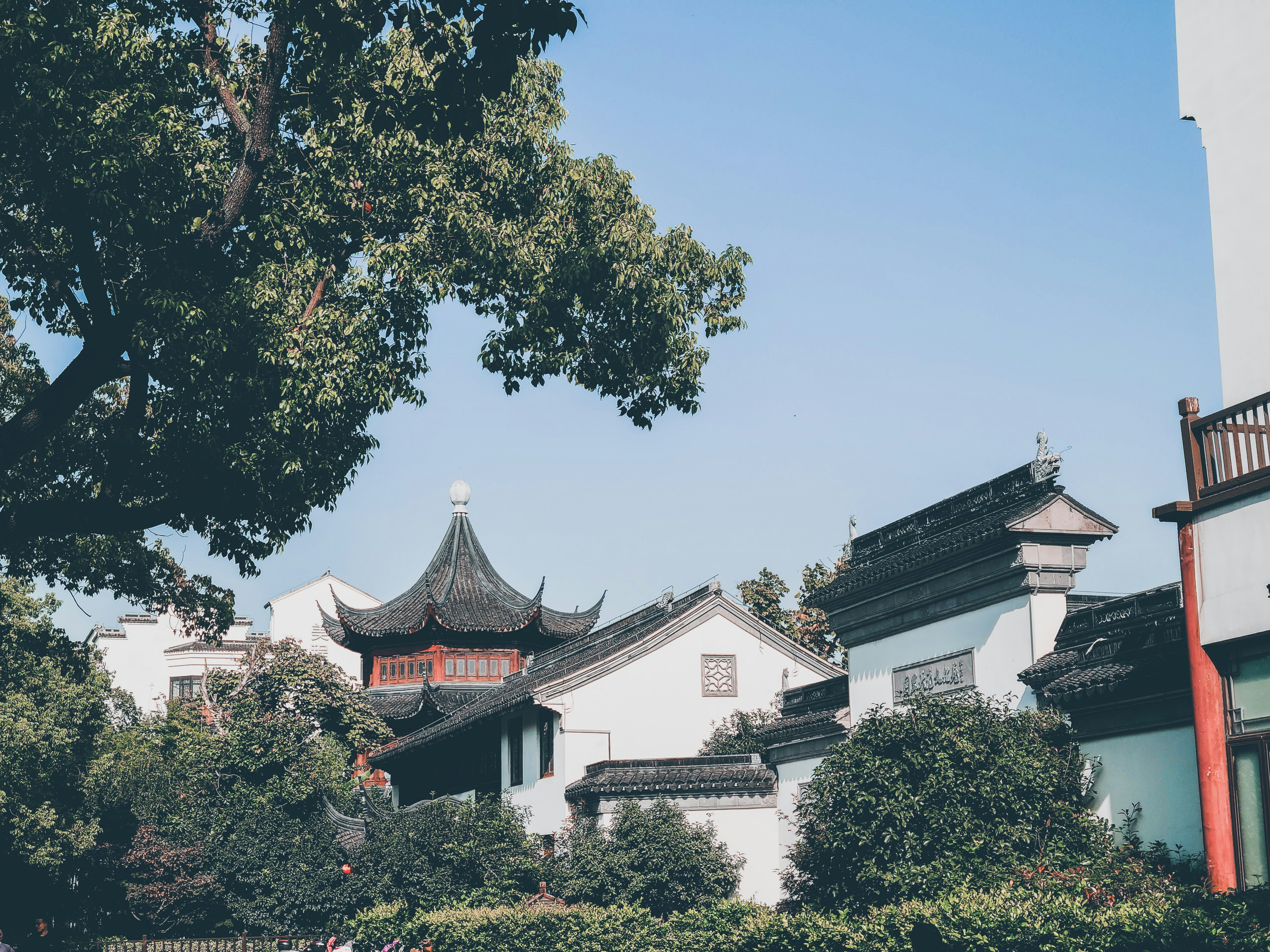 Photo by roland_kwok