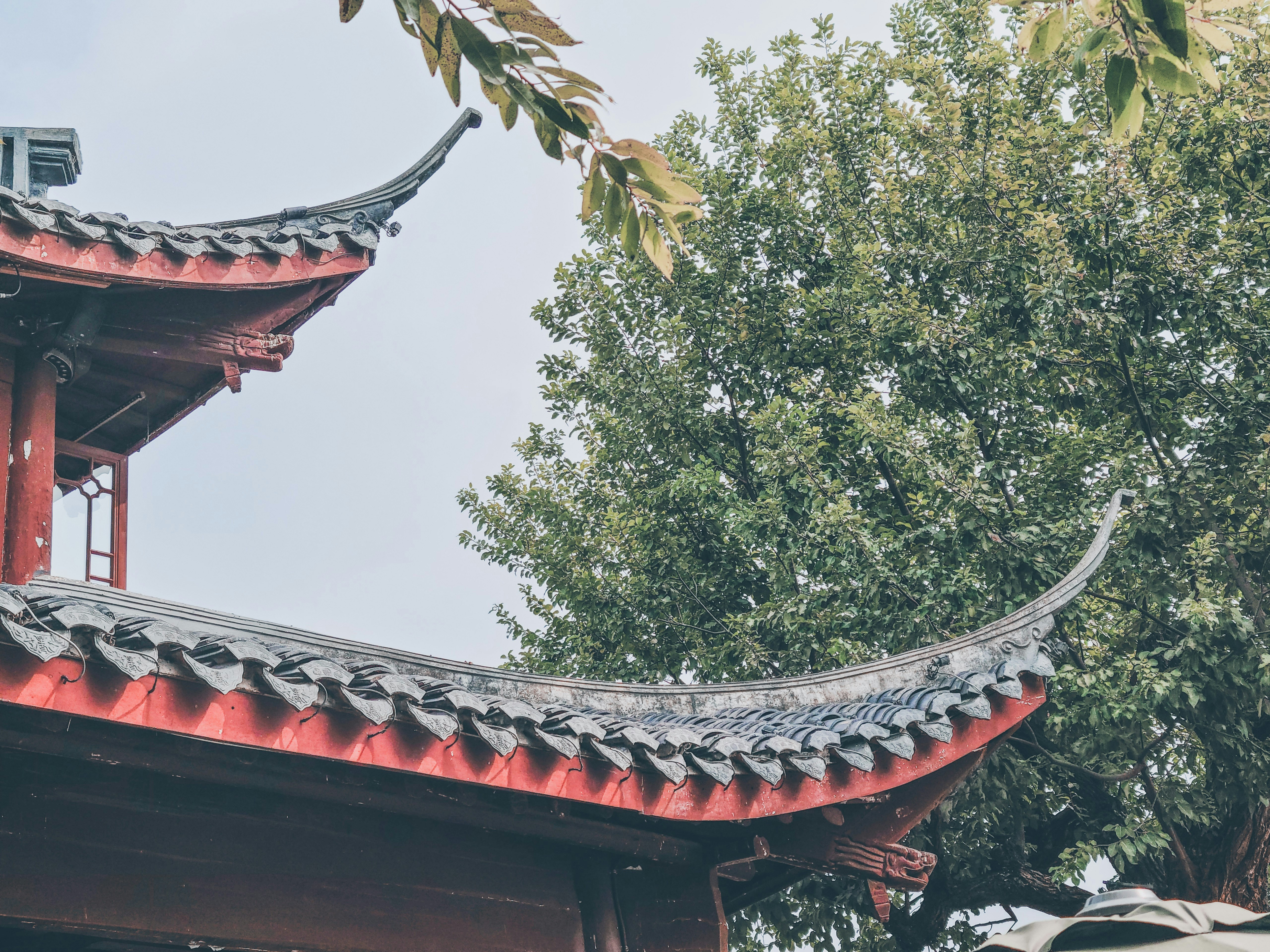 Photo by roland_kwok