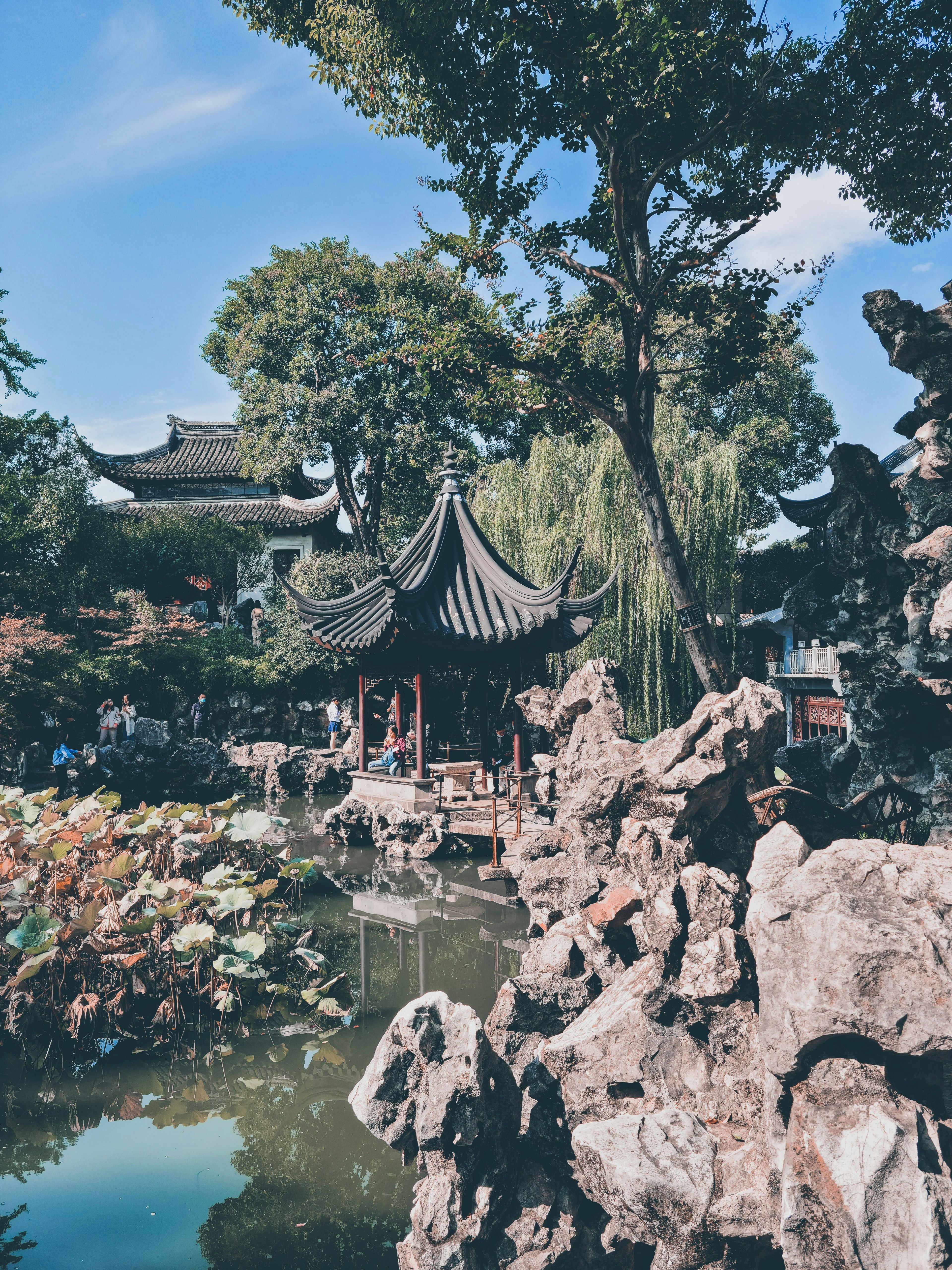 Photo by roland_kwok