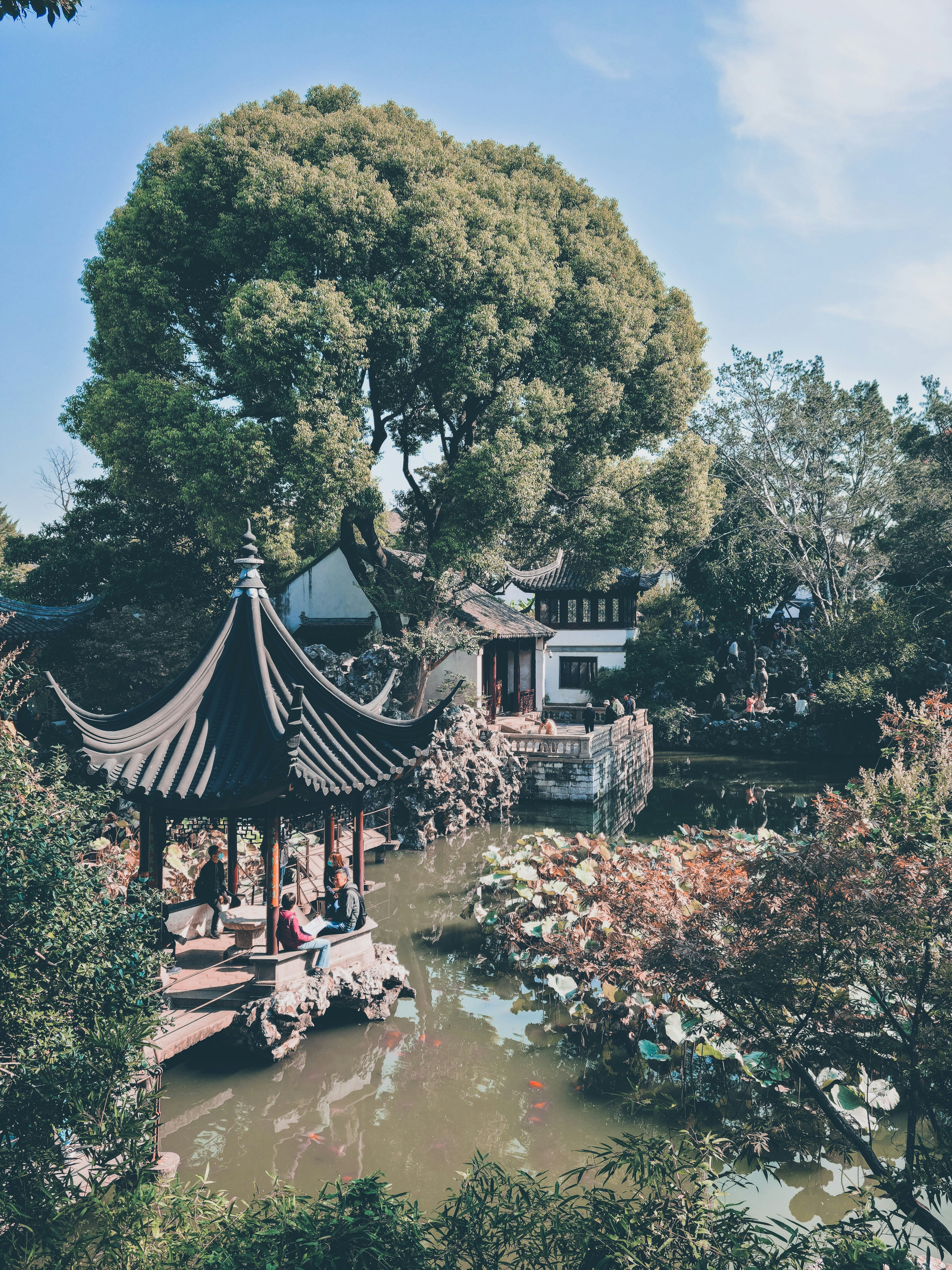 Photo by roland_kwok