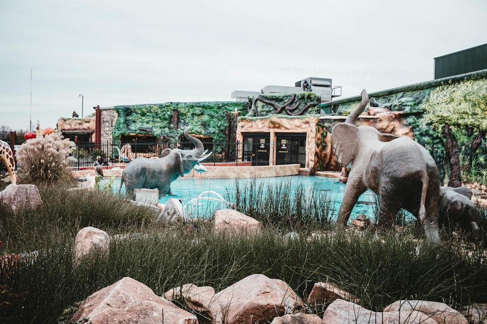 a couple of elephants standing next to a pool