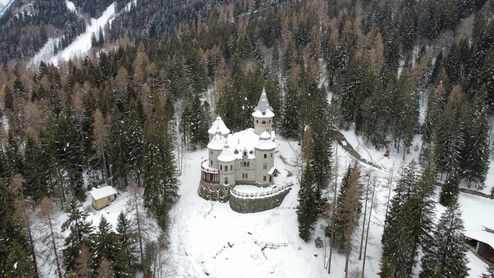 an aerial view of a castle in the middle of a forest