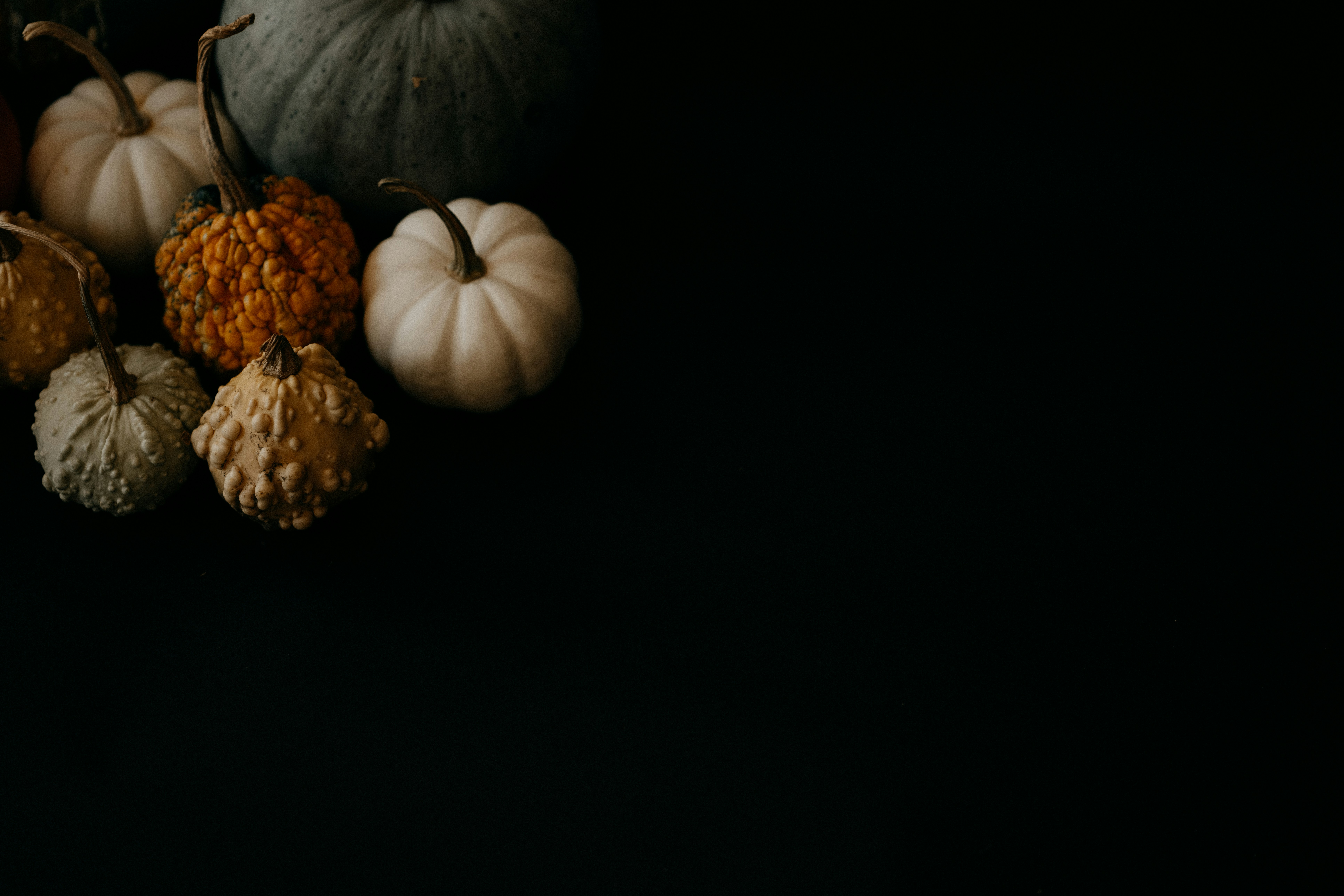 Photo by anniespratt