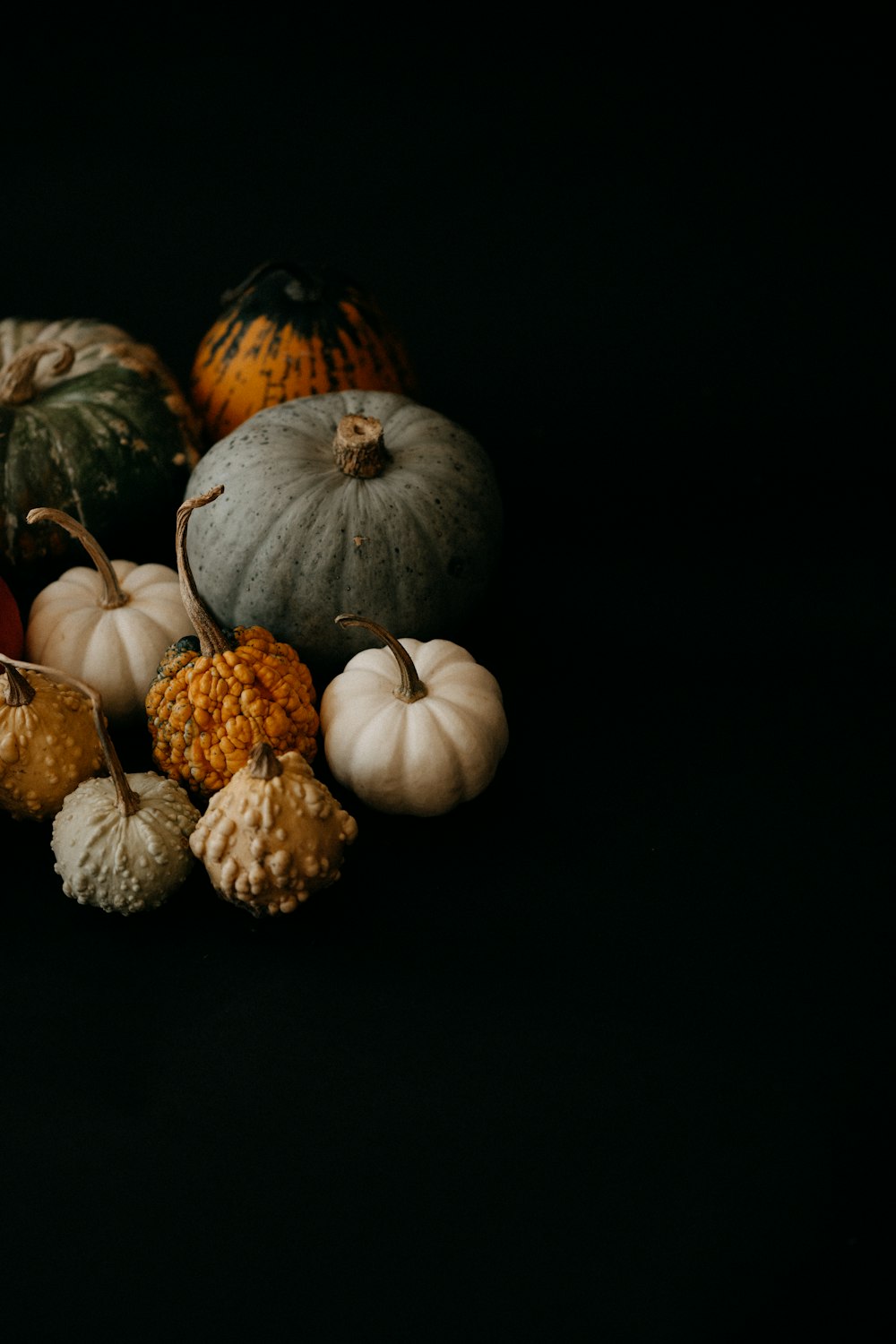 a group of pumpkins and gourds on a black background