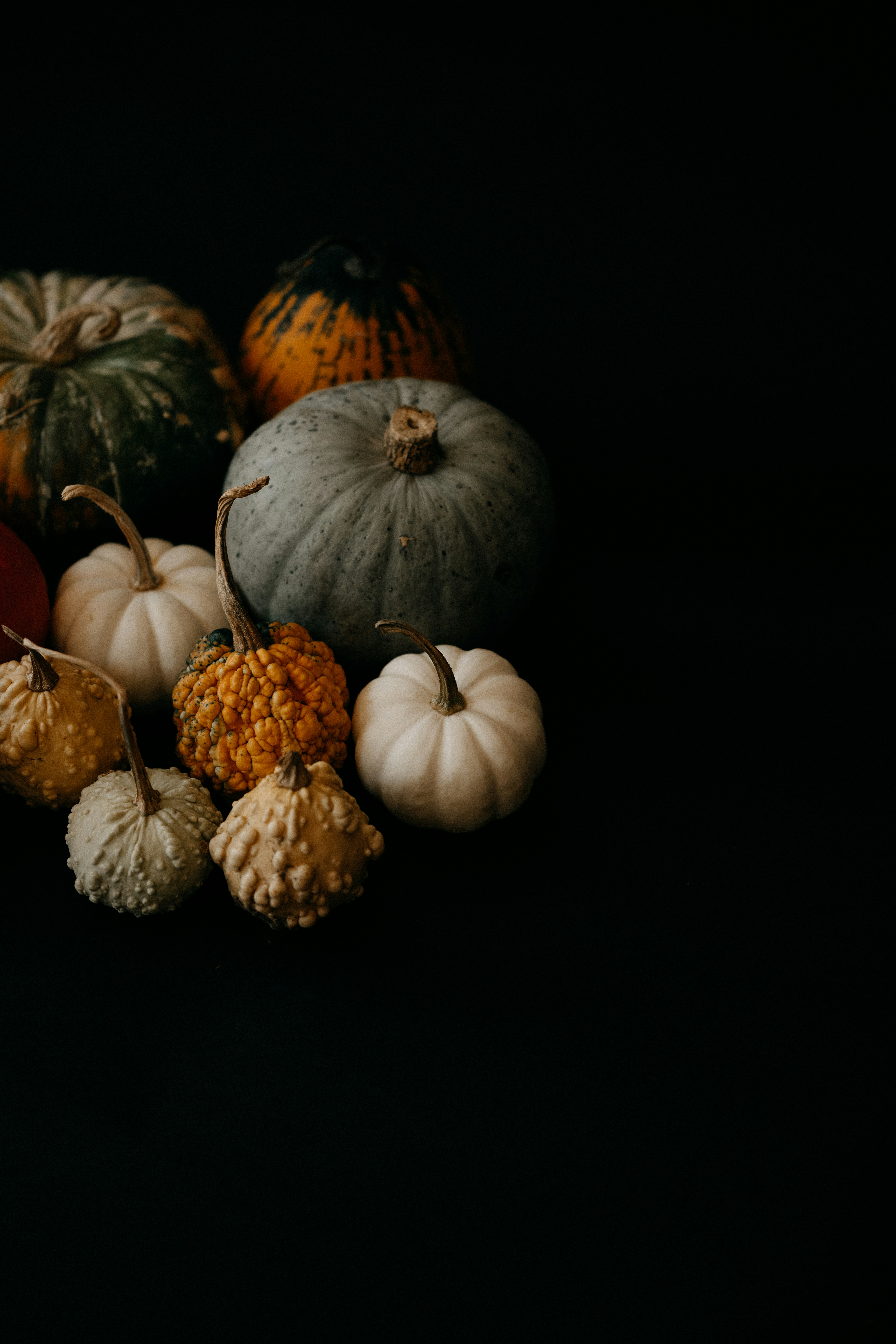 Photo by anniespratt