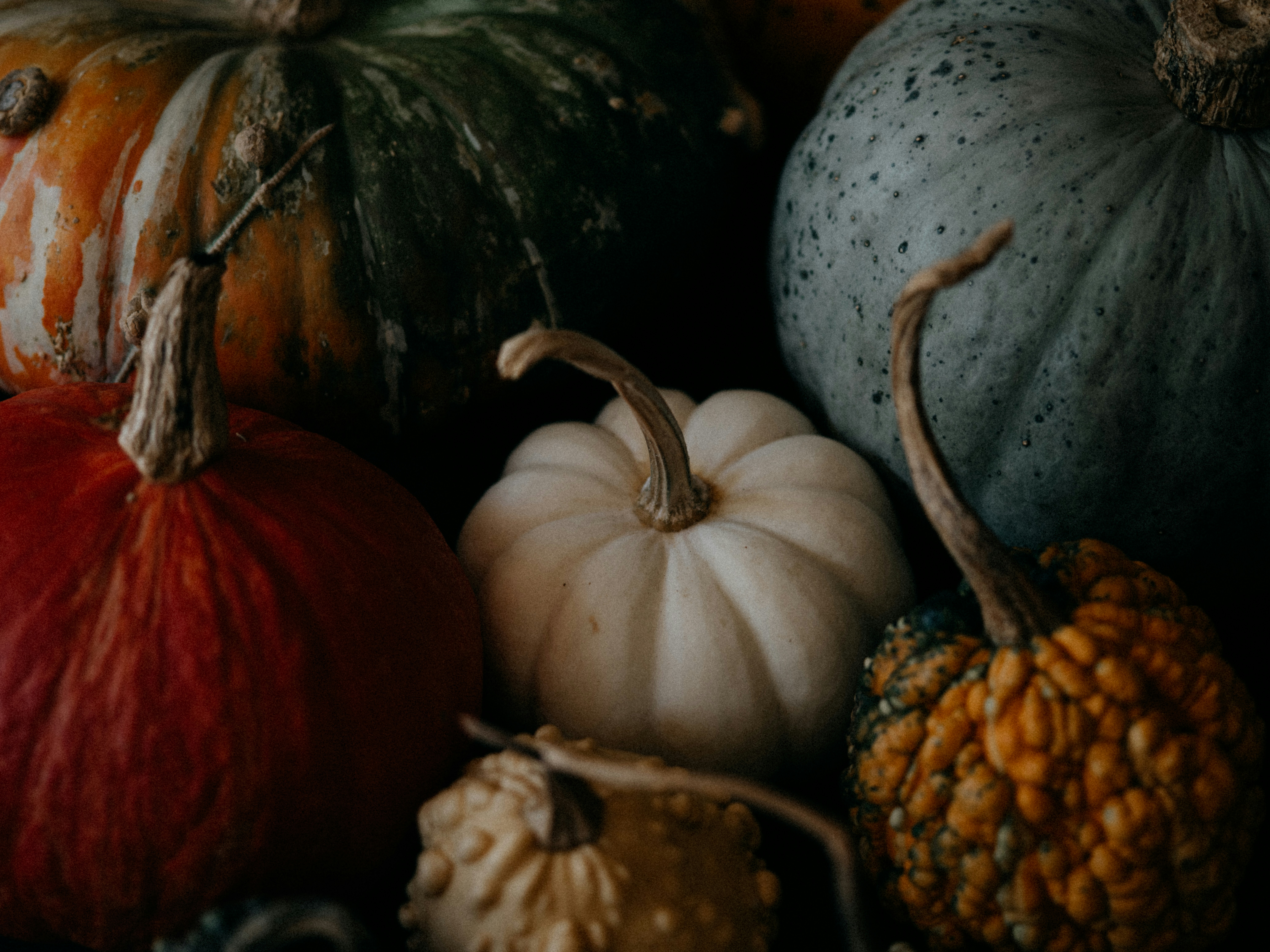 Healthy crops after using our products