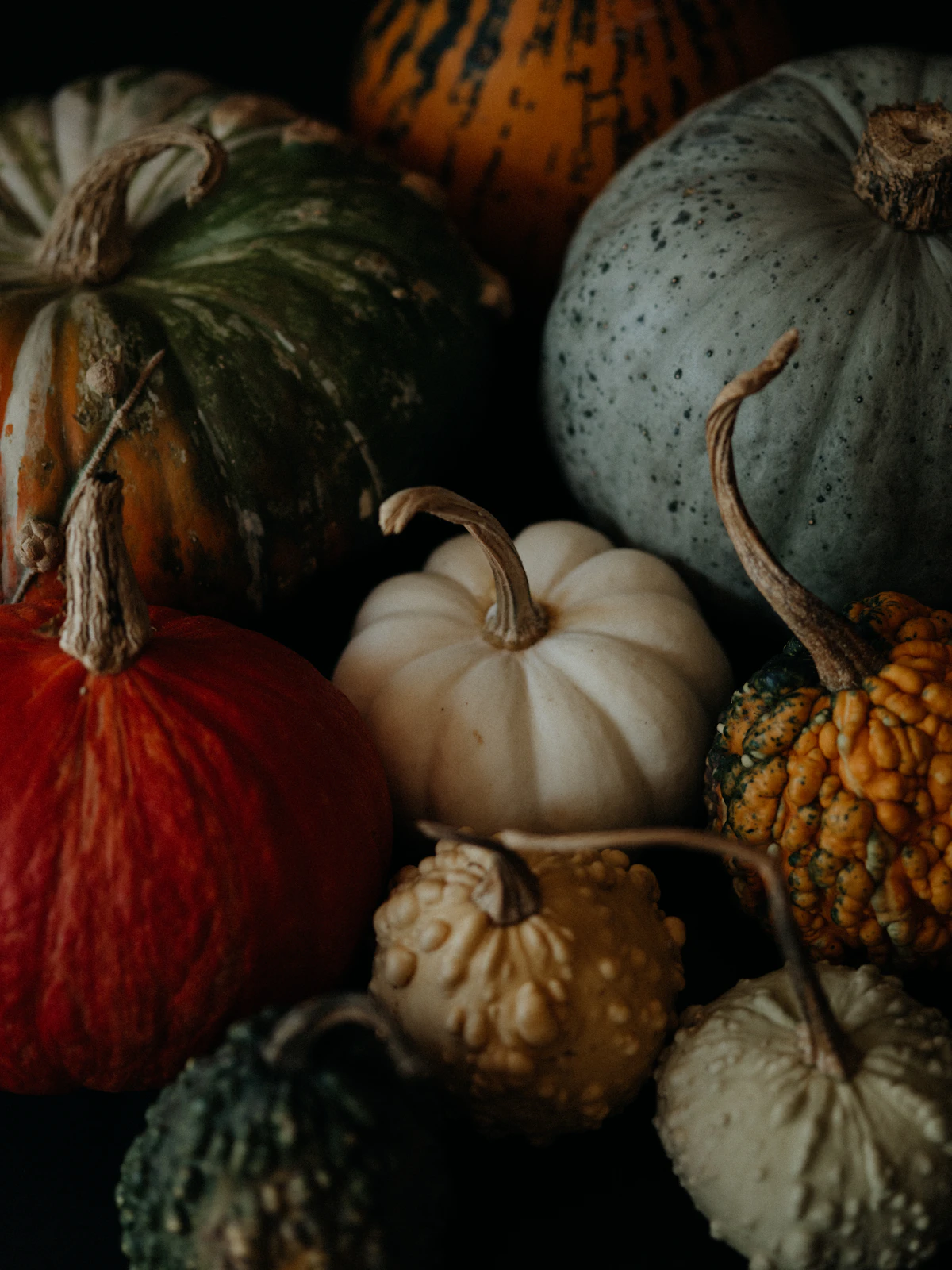 Pumpkins and gourds grouped together on a wooden table