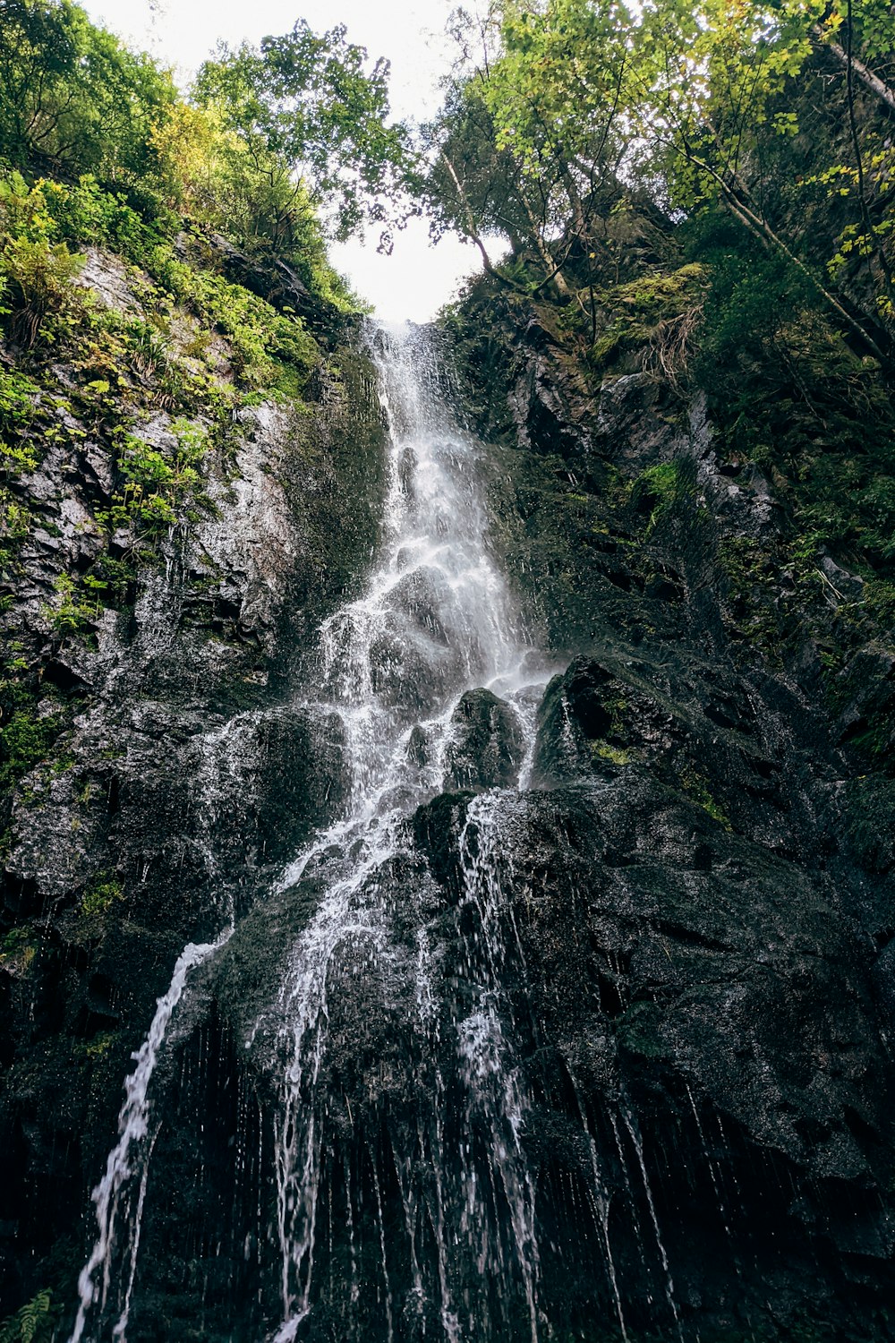 a large waterfall in a forest