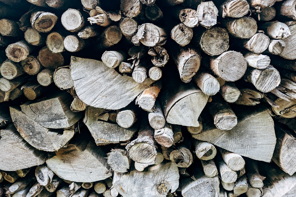 a pile of cut logs sitting next to each other