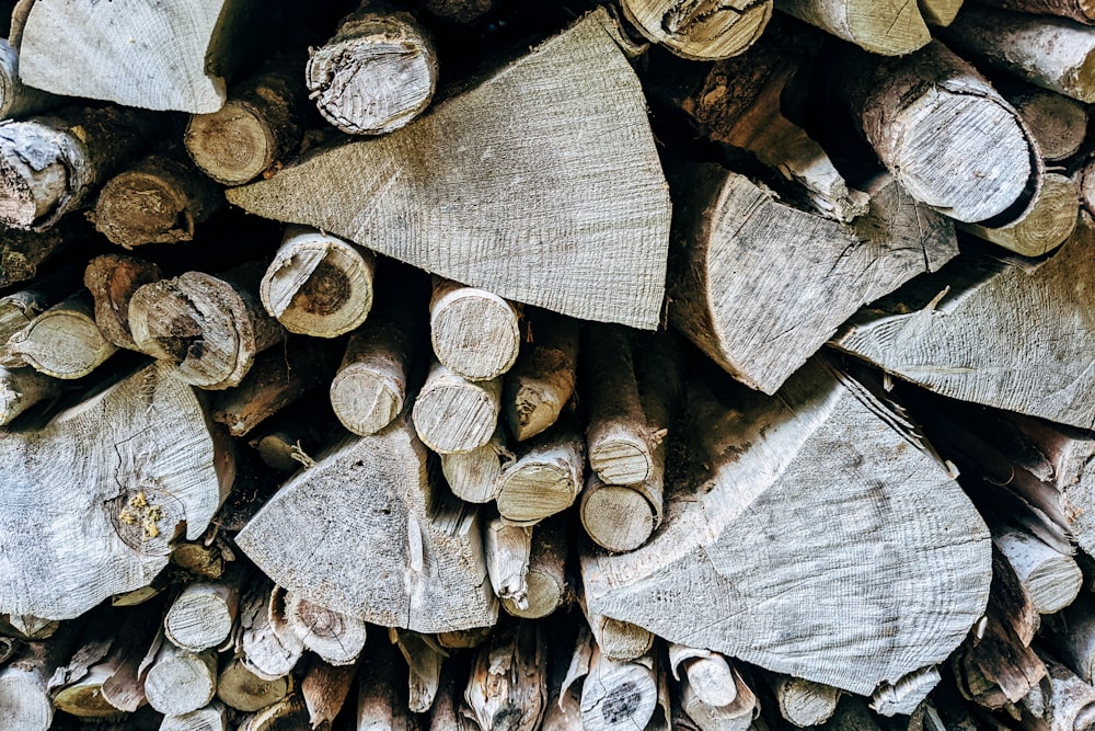 Ein Haufen gehacktes Holz sitzt nebeneinander