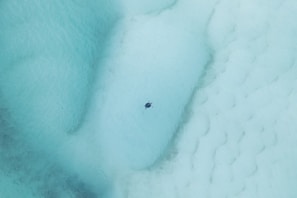 A serene aerial view of a lone sea turtle swimming in clear, shallow turquoise water. The surface creates a mix of light and shadow patterns, adding texture and depth to the image.
