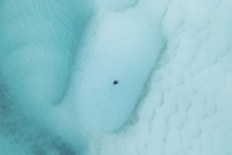 A serene aerial view of a lone sea turtle swimming in clear, shallow turquoise water. The surface creates a mix of light and shadow patterns, adding texture and depth to the image.
