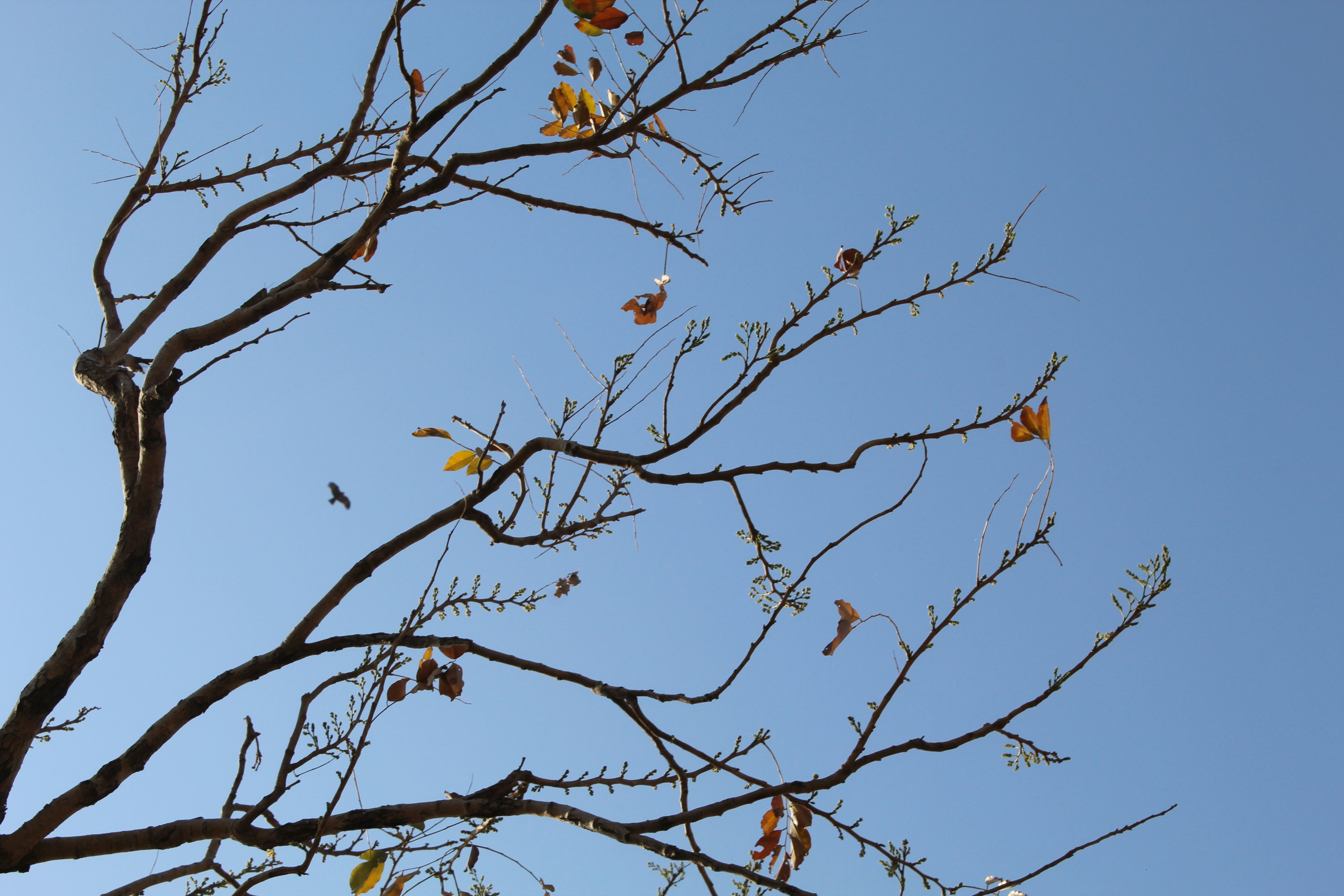 Photo by kraziechain