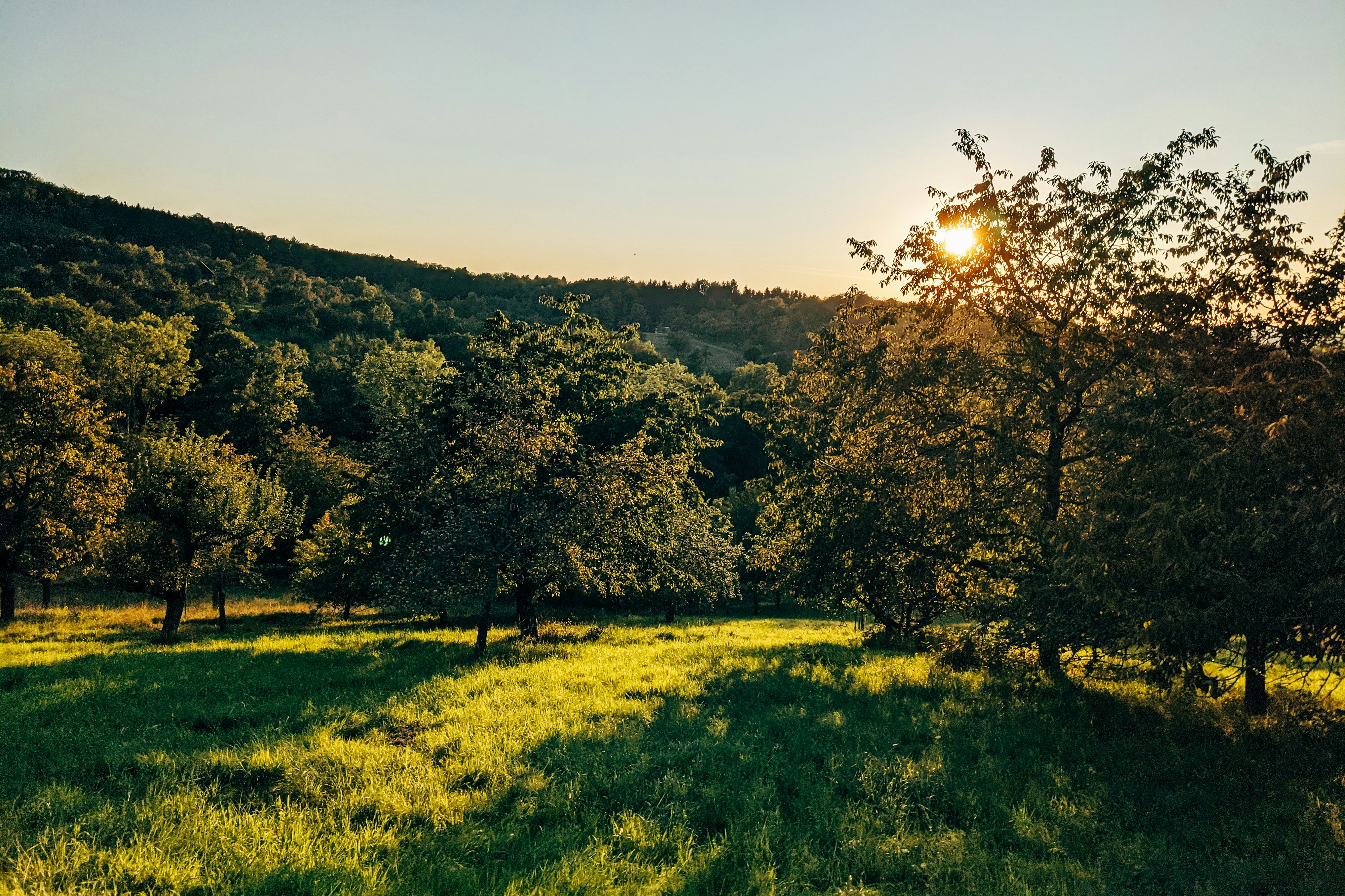 Photo by markuswinkler