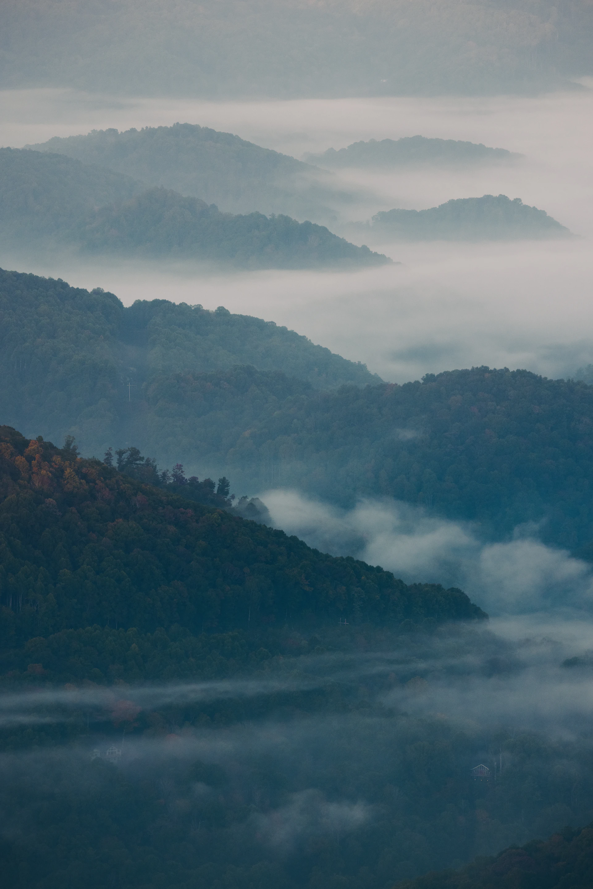 Fog Burning Off at Sunrise