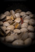 a bunch of clams in a pan on a stove