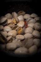 a bunch of clams in a pan on a stove