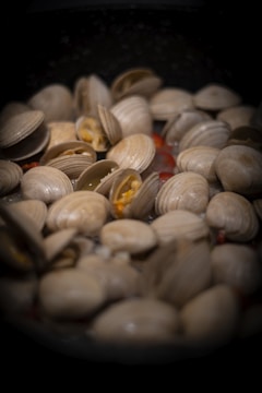 a bunch of clams in a pan on a stove