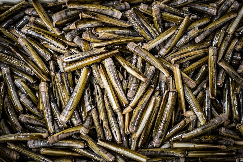 a large pile of bullet shells sitting next to each other