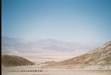 Wide shot of the Palmeraie landscape with buggies lined up under the bright blue sky.