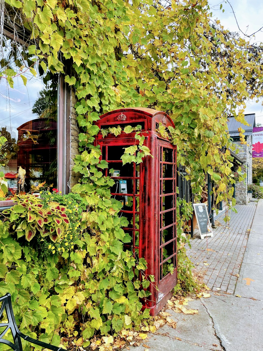 a red phone booth sitting next to a tree