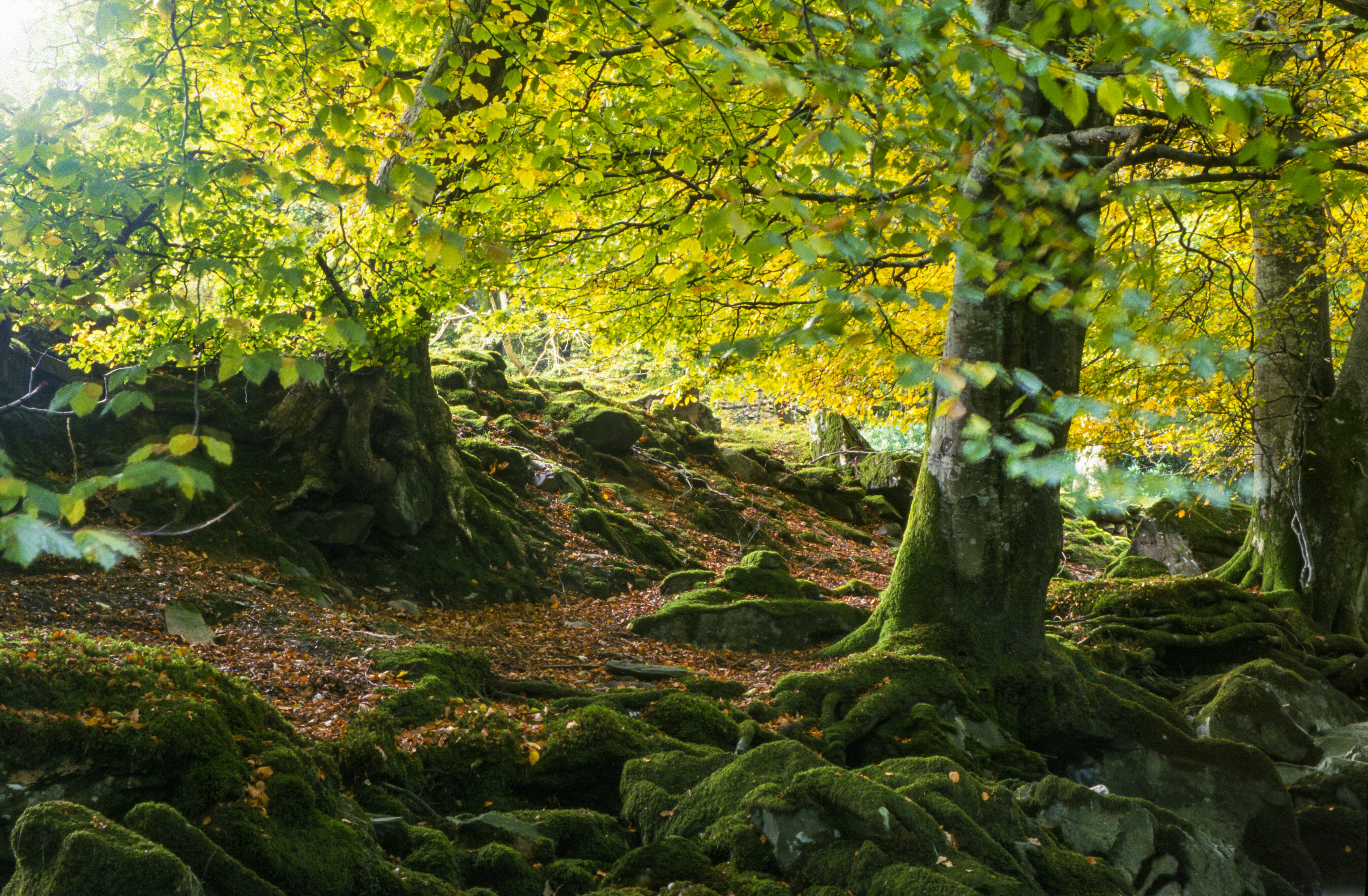 Photo by rocinante_11