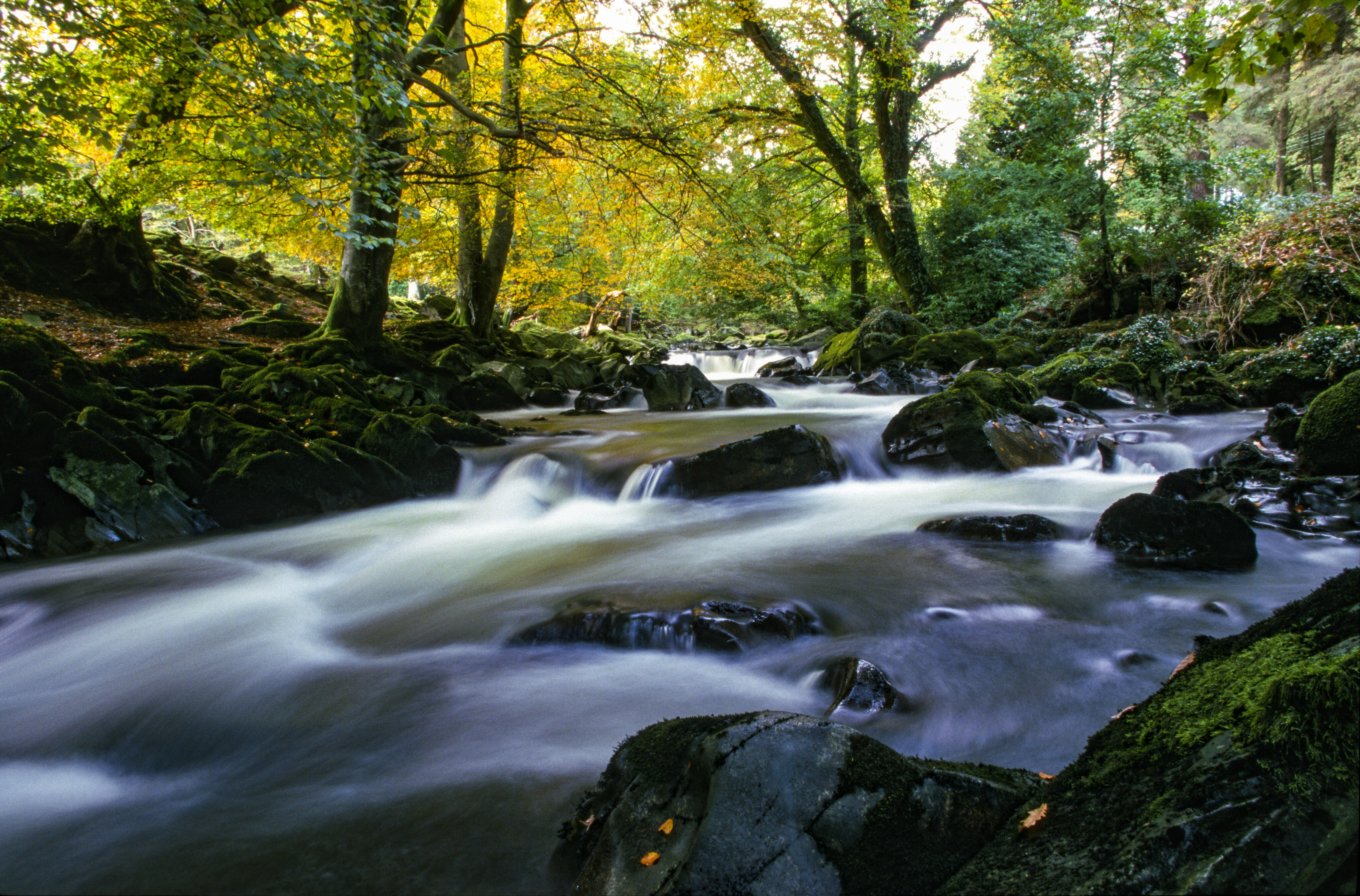 Photo by rocinante_11