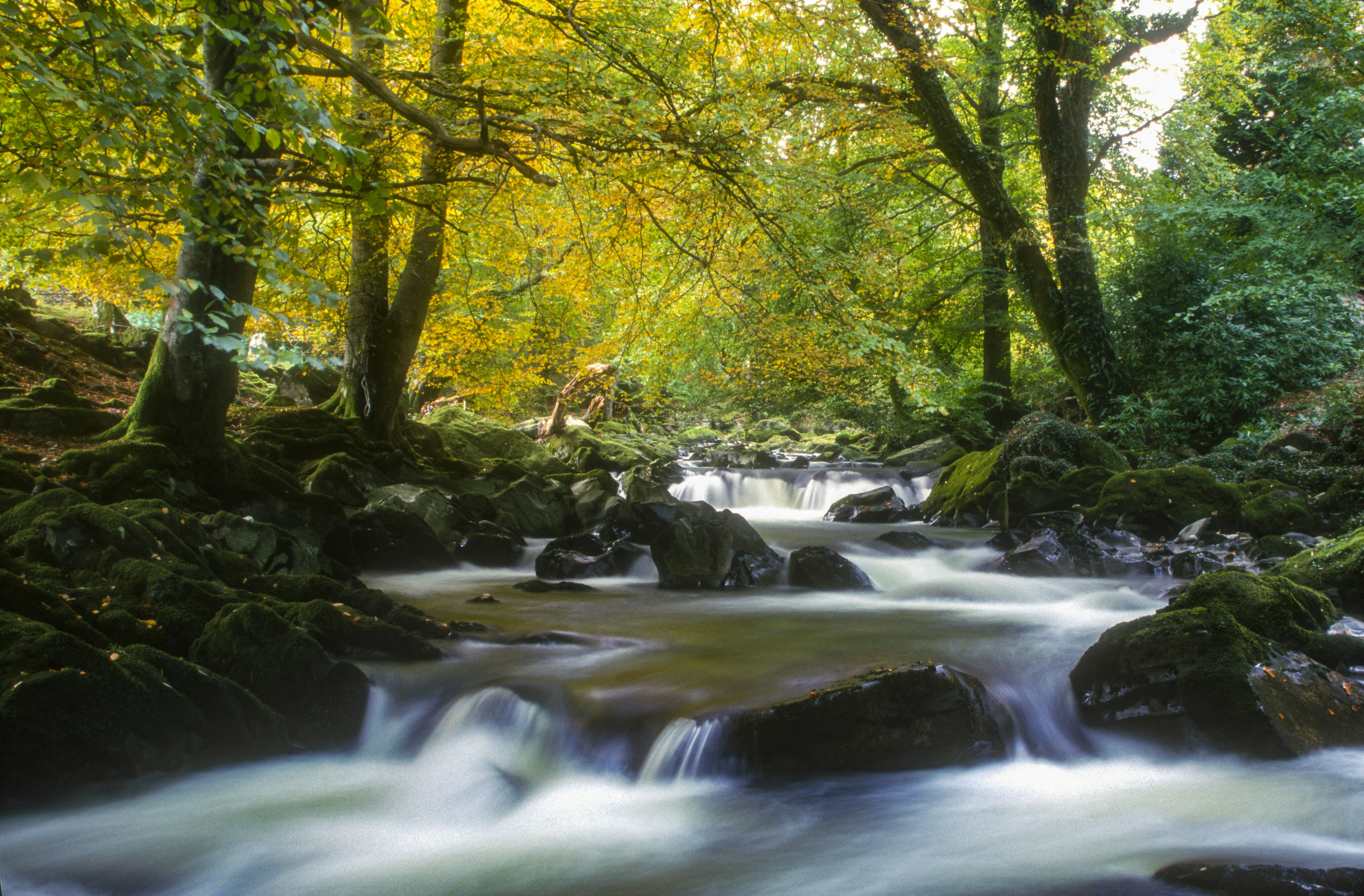 Photo by rocinante_11