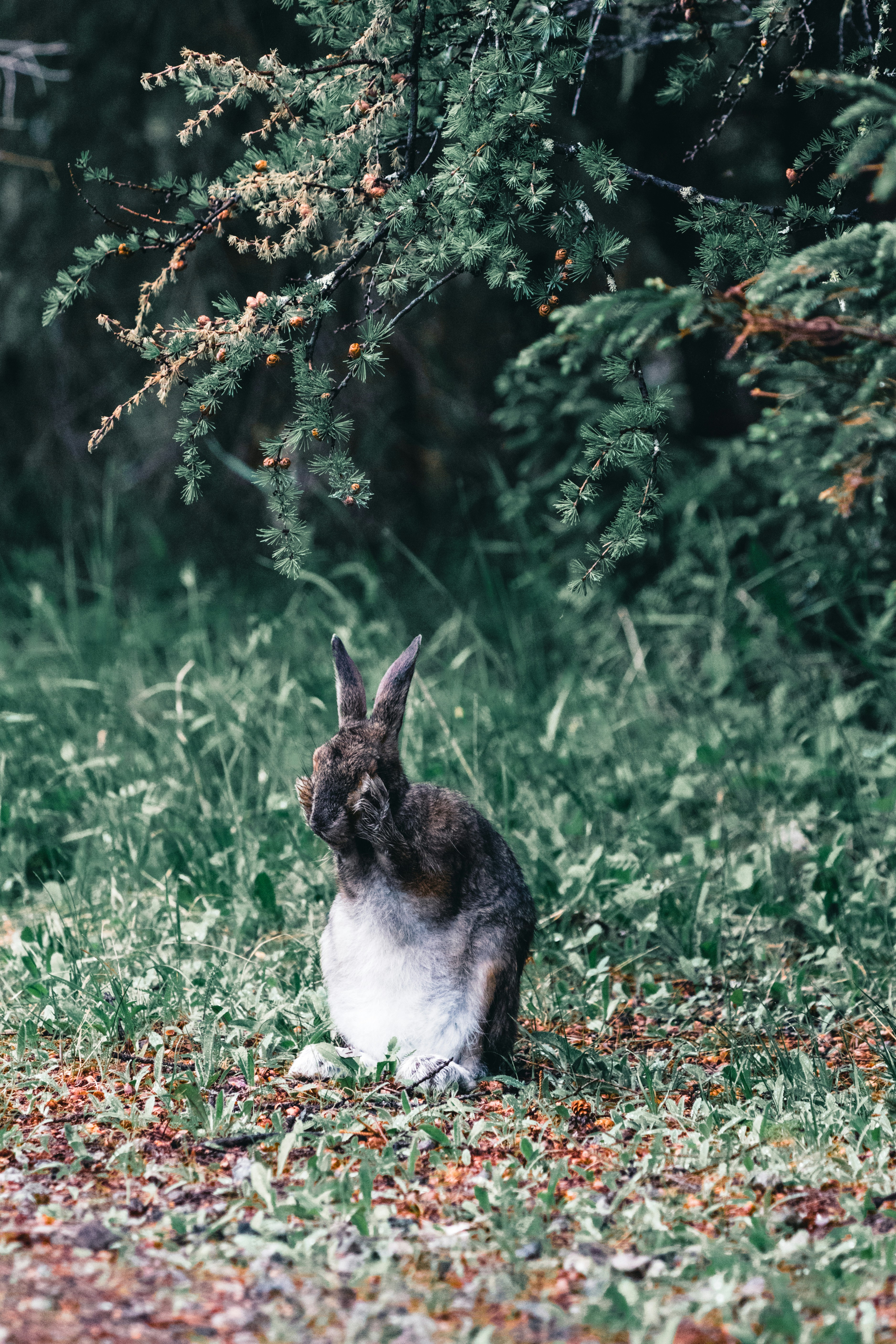 Photo by lureofadventure